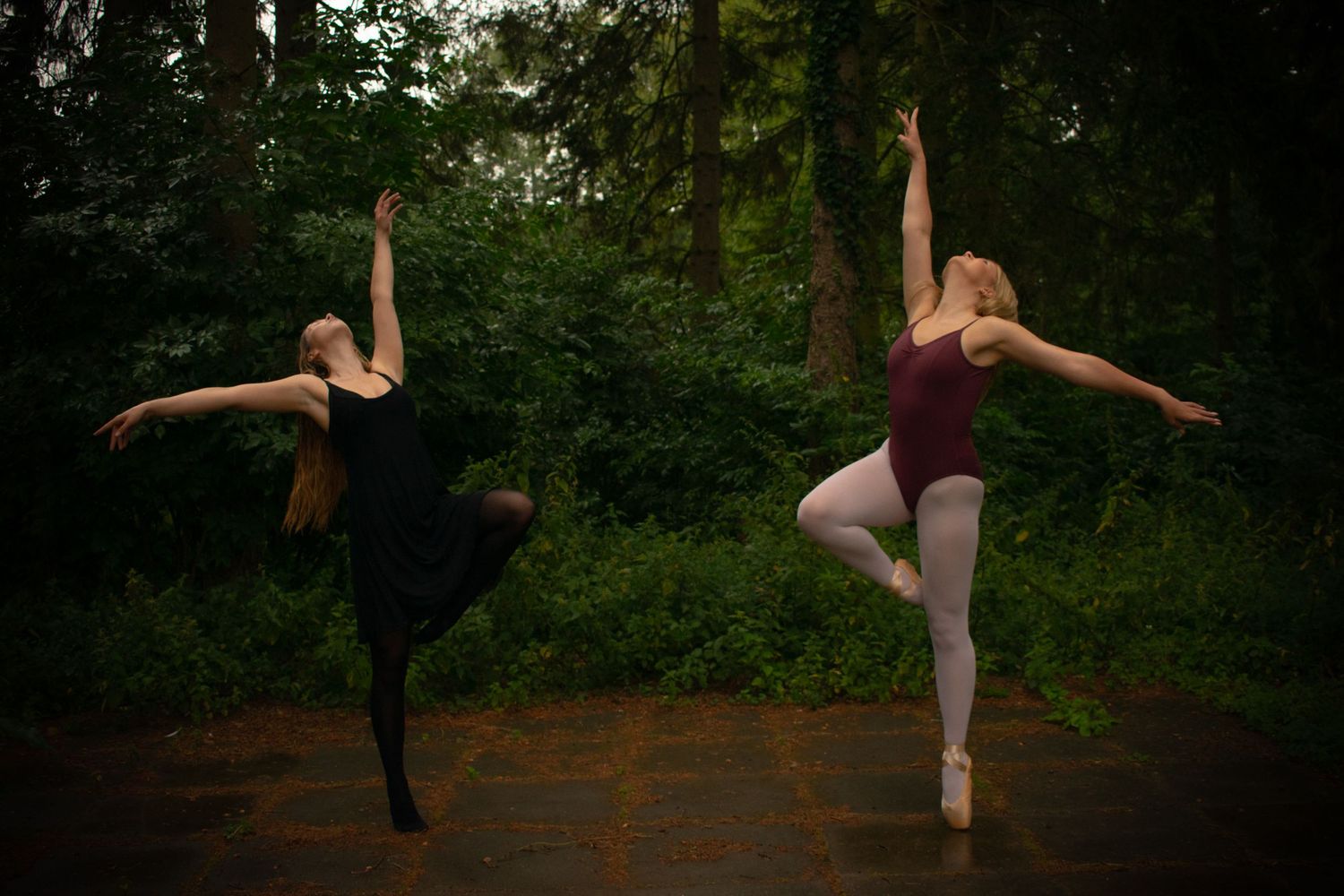 Dance Portraits