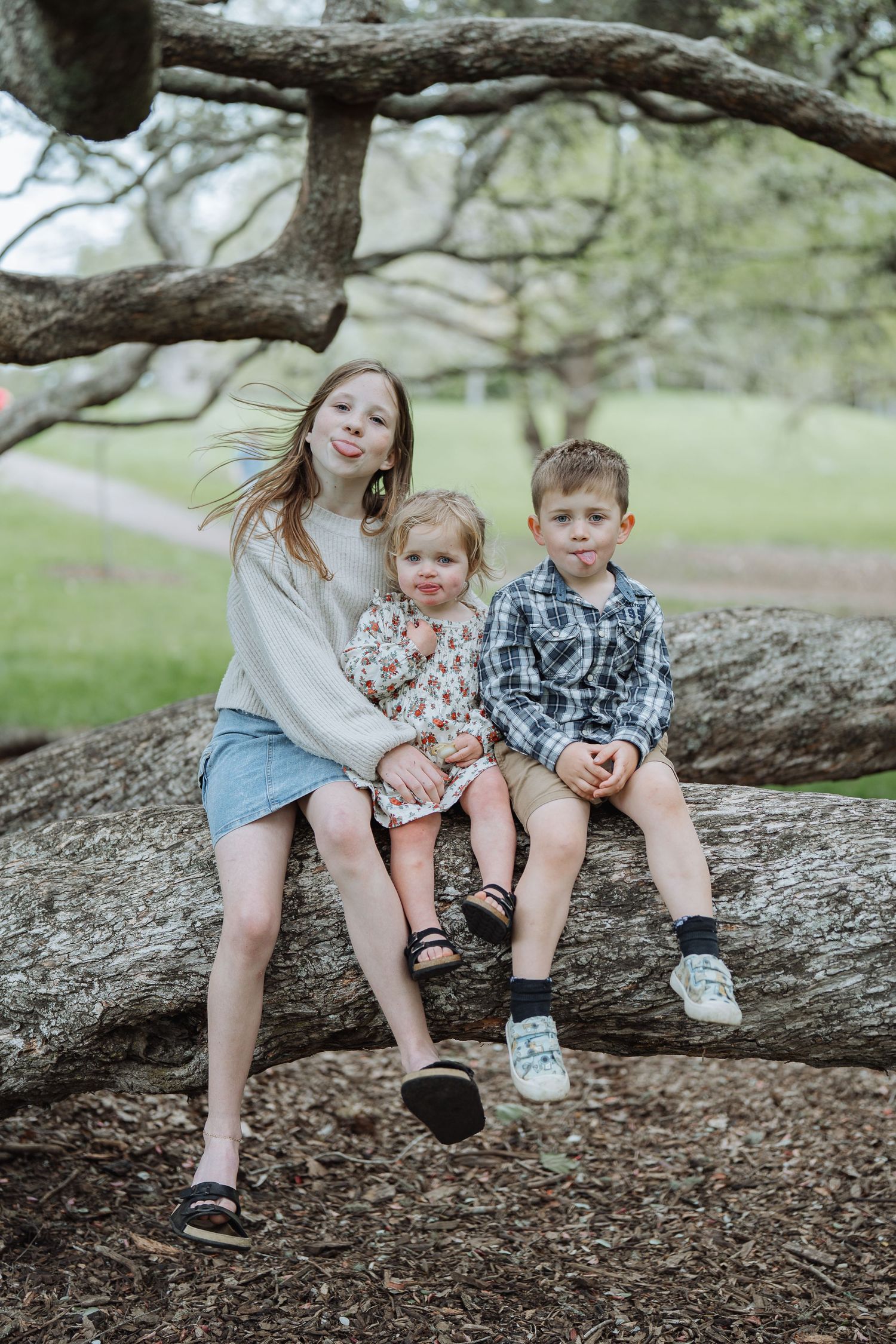 Three children sit together on a large tree branch outdoors.