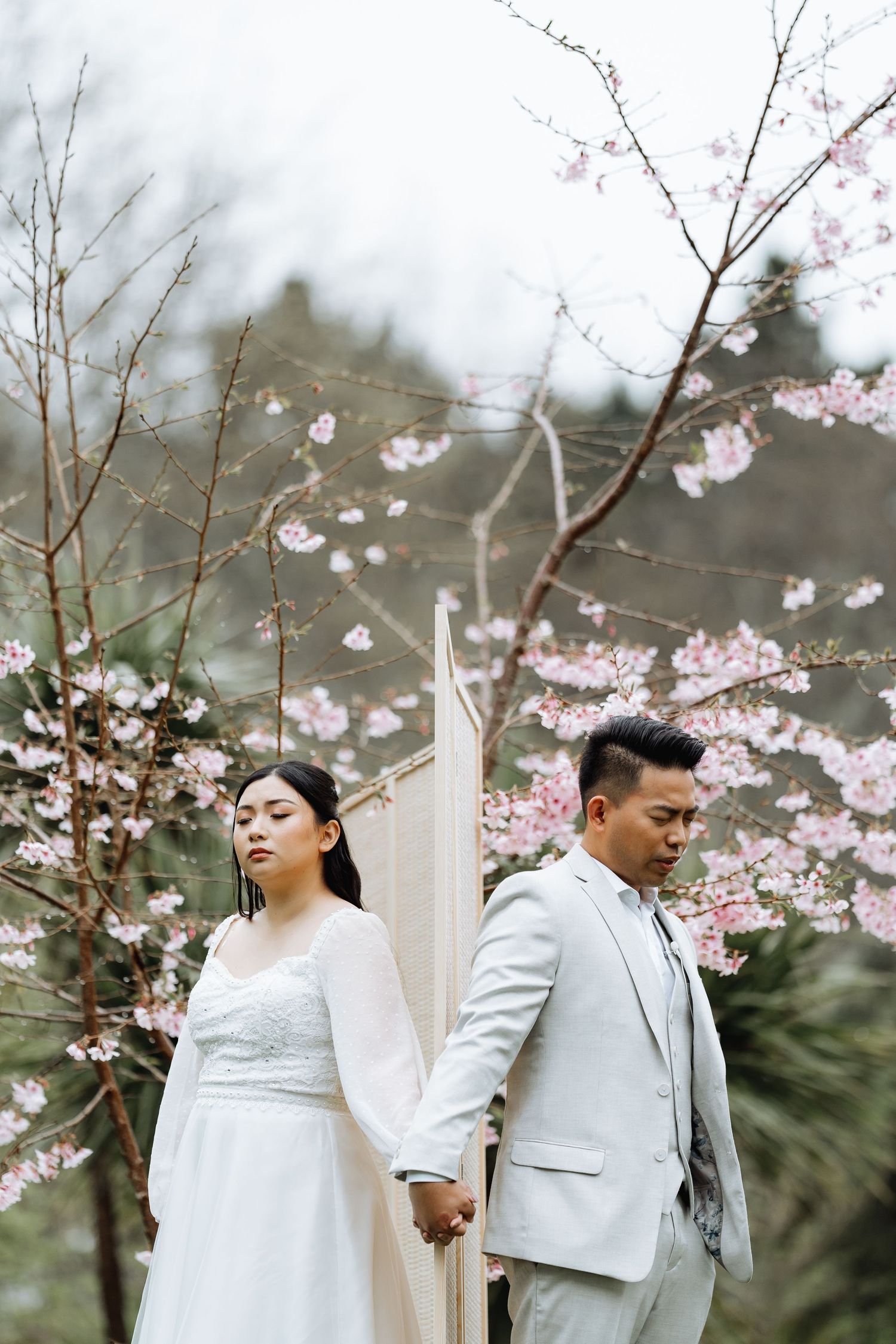 Cherry blossoms frame a romantic spring wedding scene with delicate pink petals.