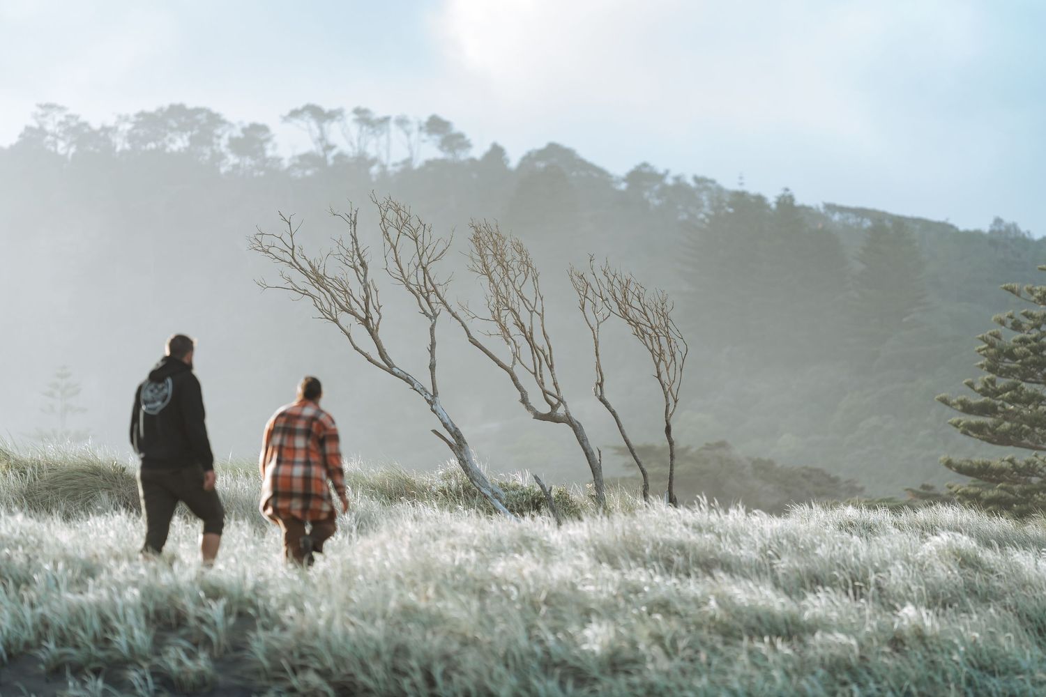 Two hikers walk through a misty frost-covered meadow with bare trees and forested hills in the background.