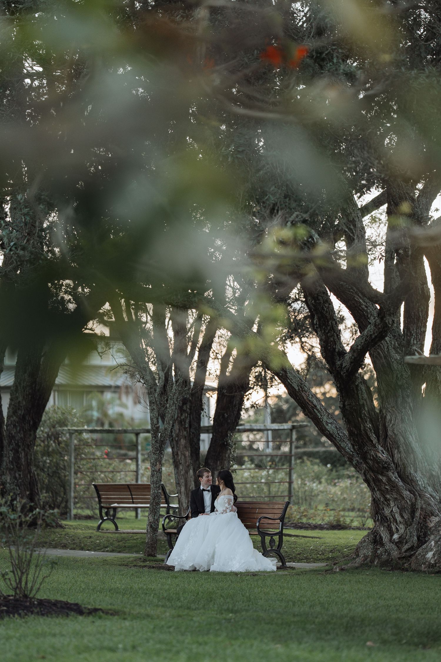 Wedding couple walking through a serene garden path lined with mature trees.