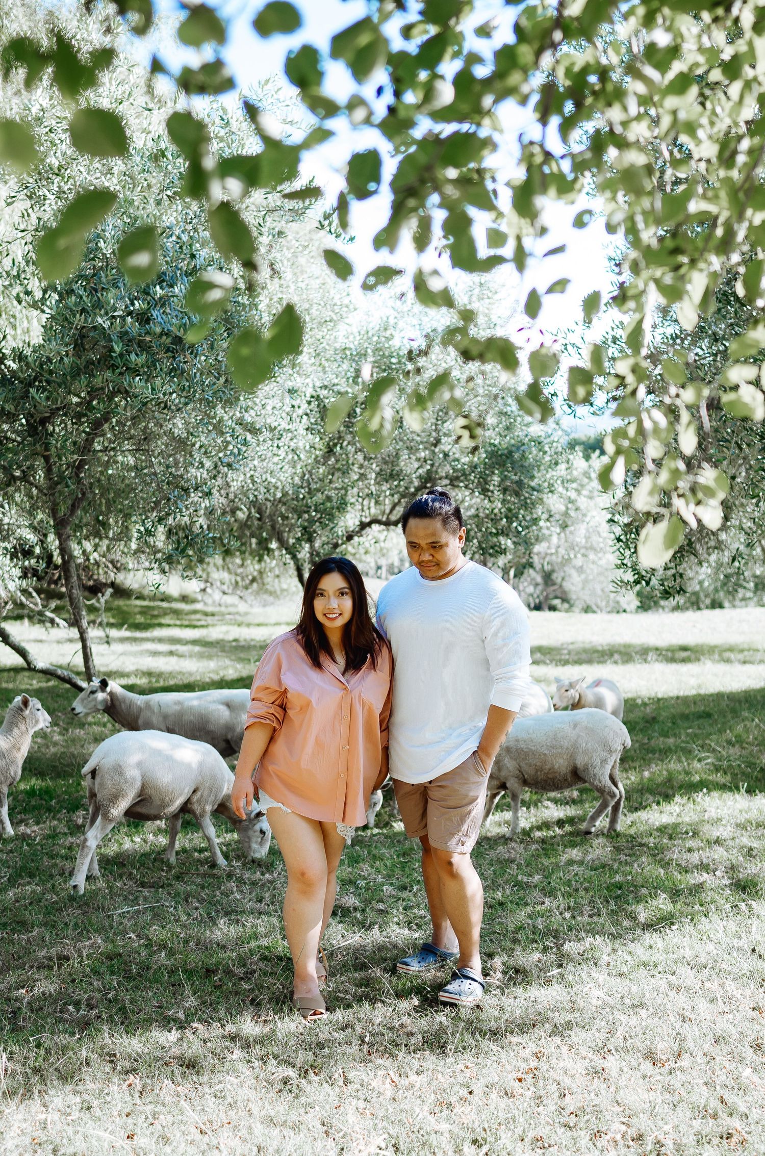 A couple strolls through an orchard with sheep grazing in the background under leafy trees.