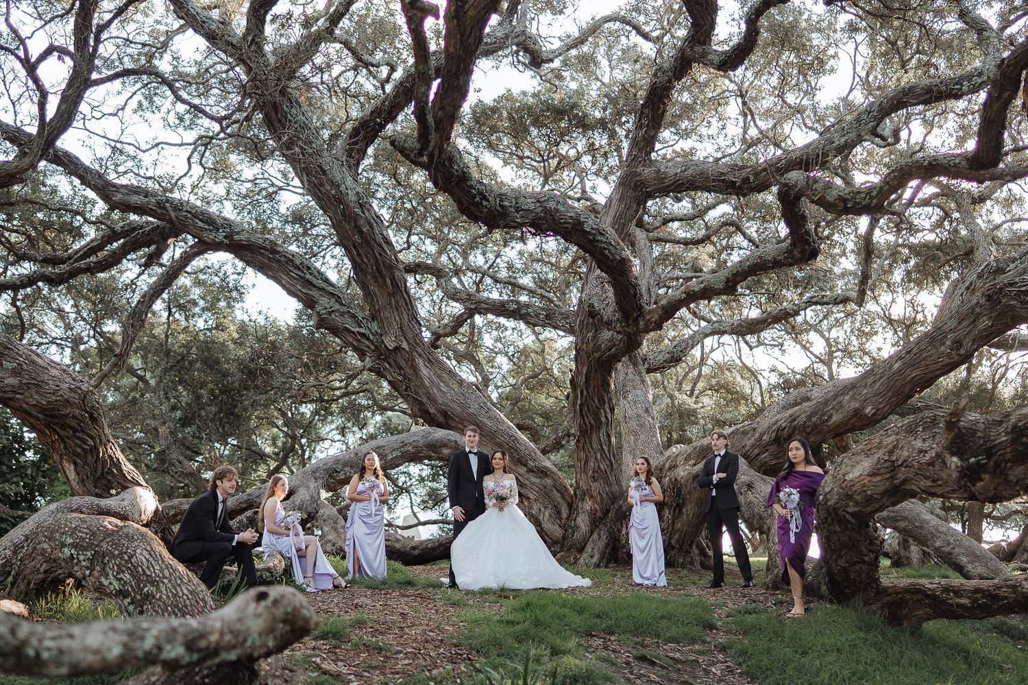 Ancient twisted oak trees create a natural archway for an outdoor wedding ceremony.