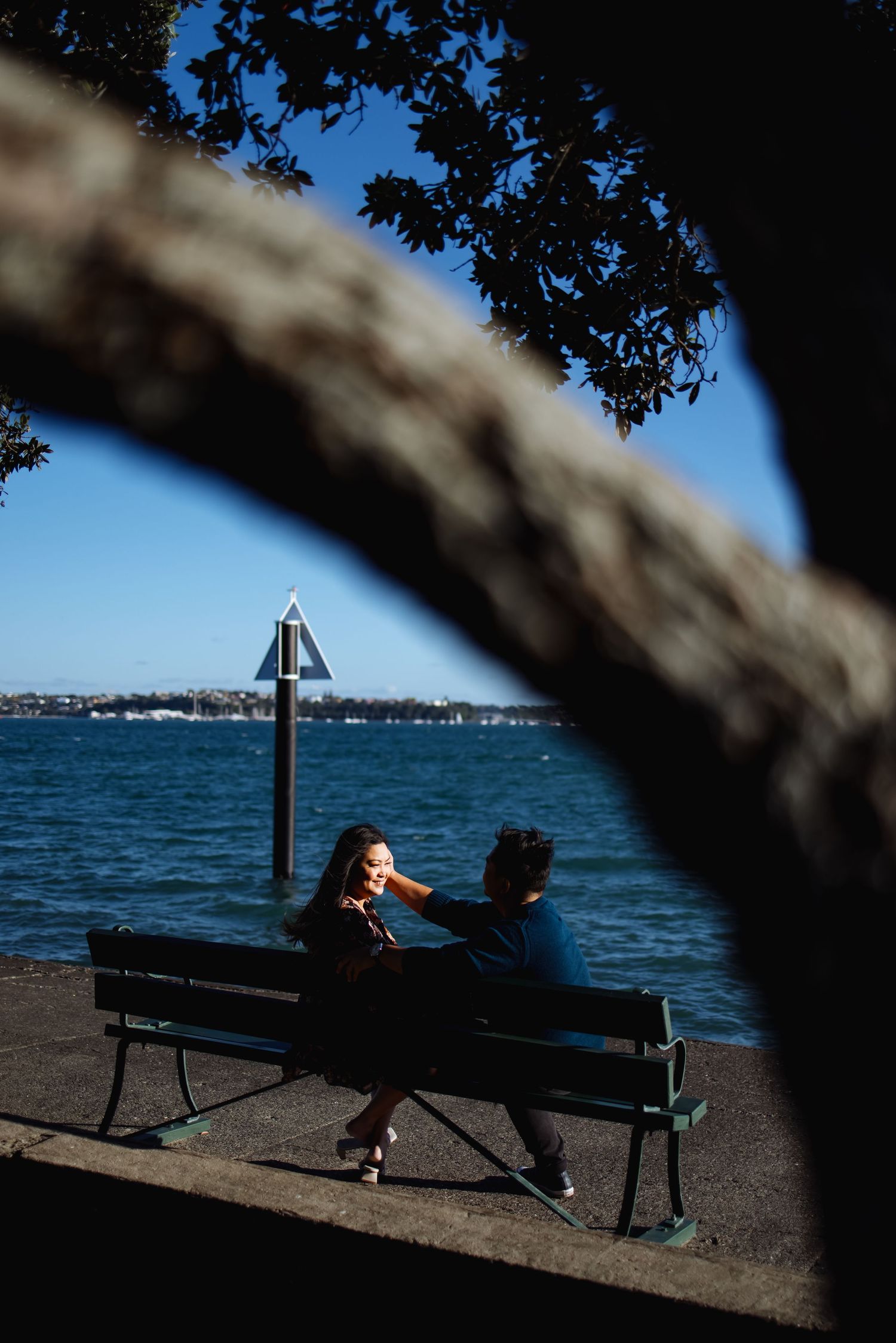 A bench by the waterfront framed by tree branches with ocean views.