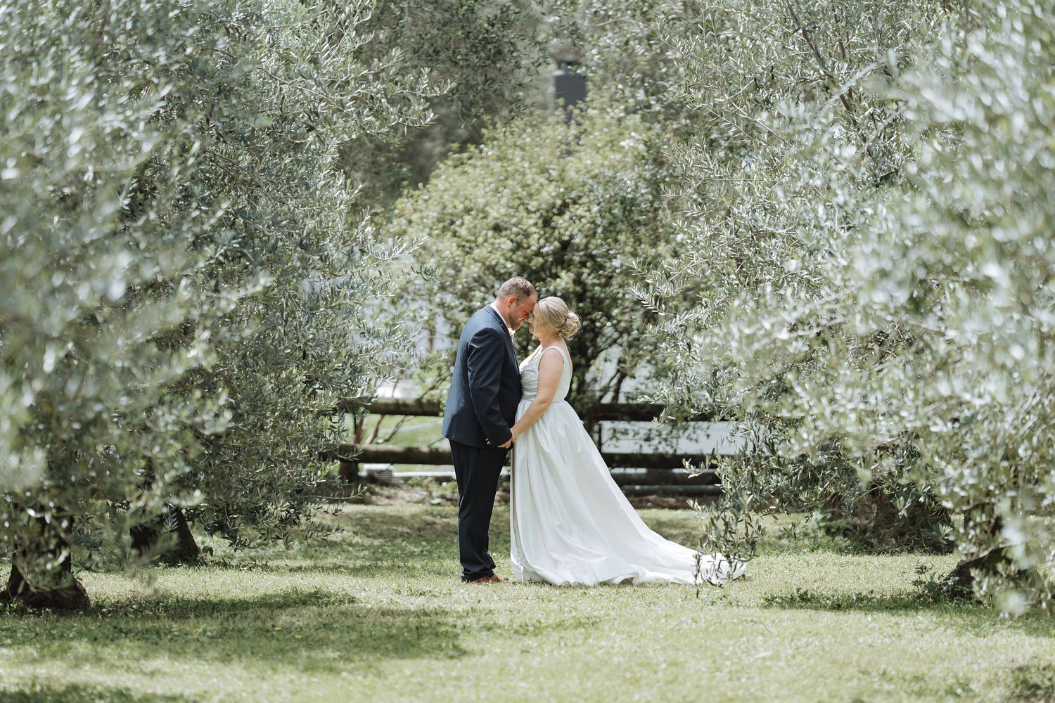 Panoramic view of a wedding ceremony setting under blooming trees.