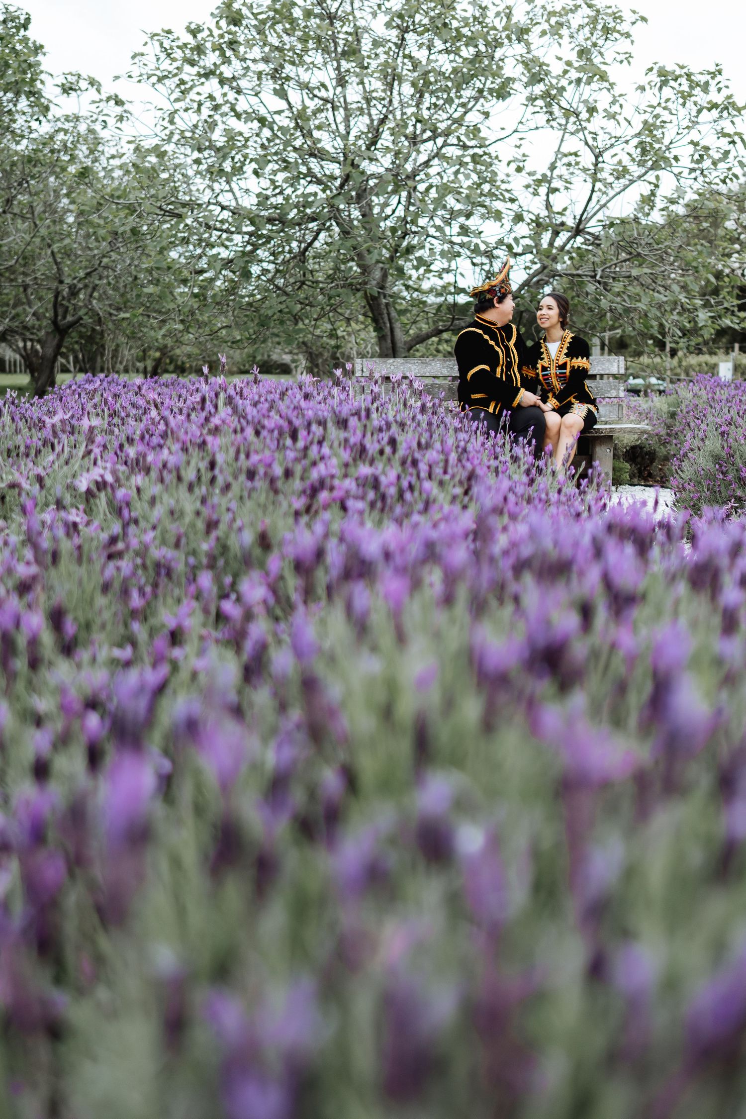 A dreamy scene in a lavender field with blooming purple flowers under flowering trees.