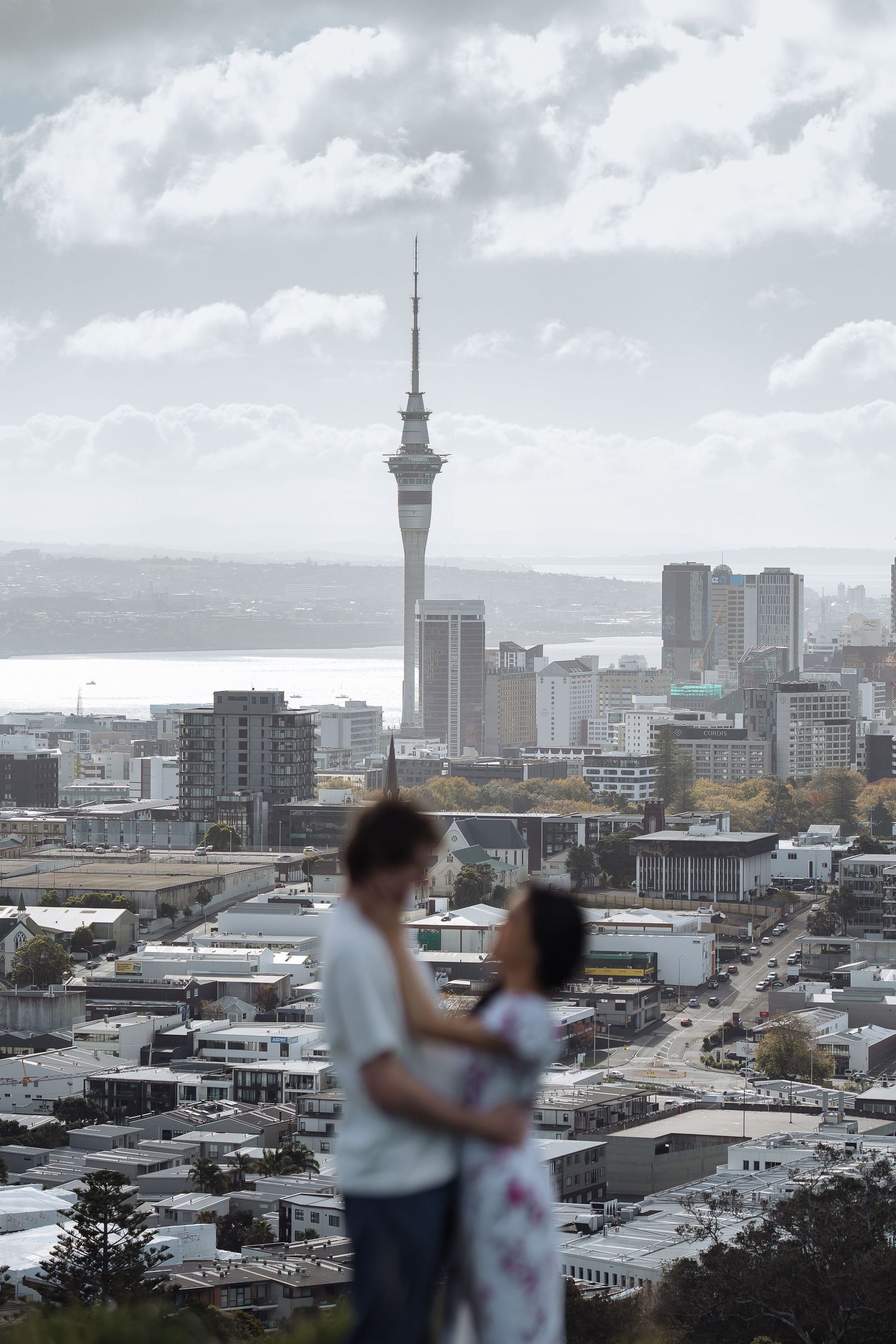 Auckland cityscape with Sky Tower and downtown buildings under cloudy skies.
