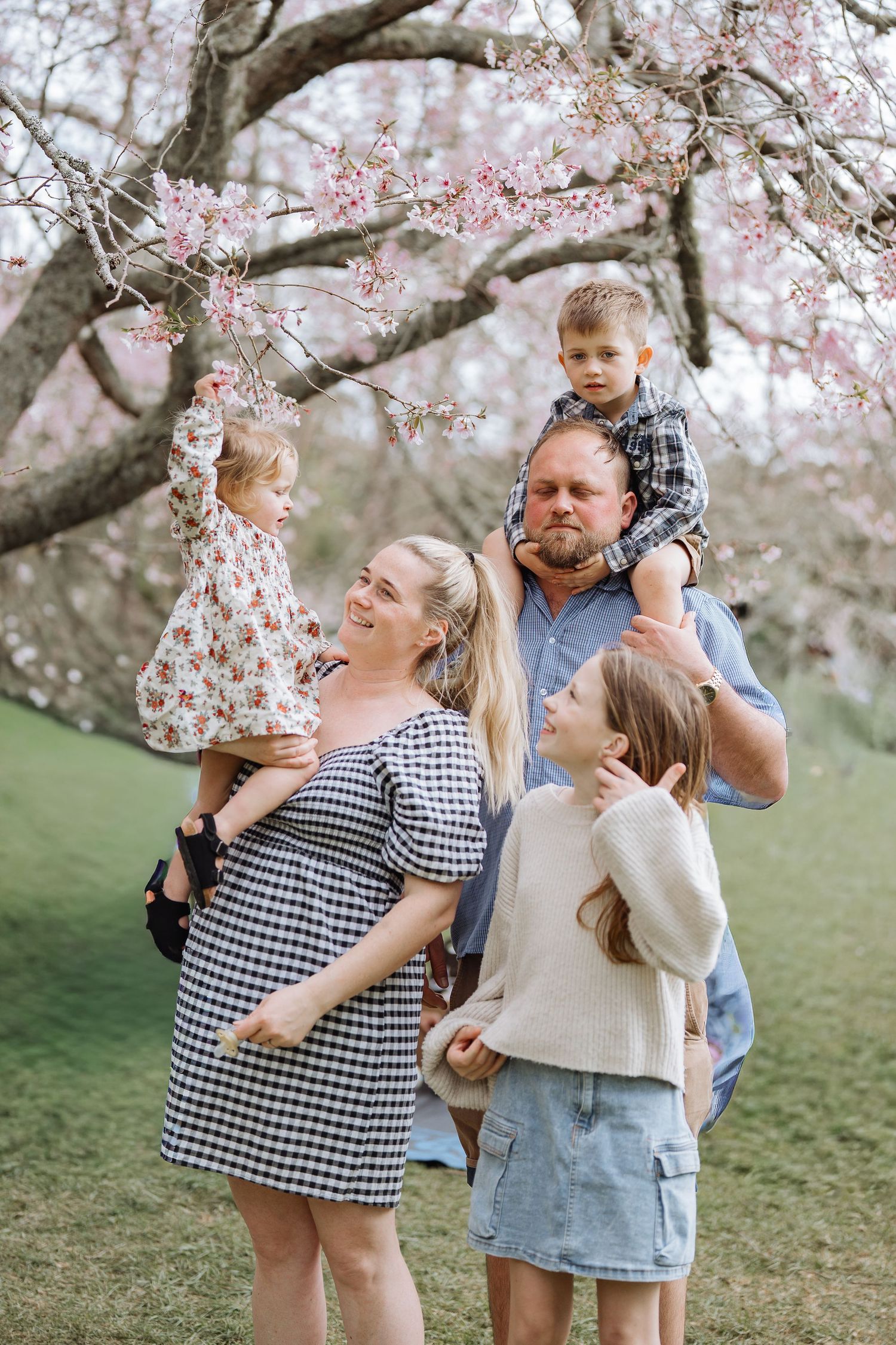 Family posing under blooming cherry blossoms in springtime.