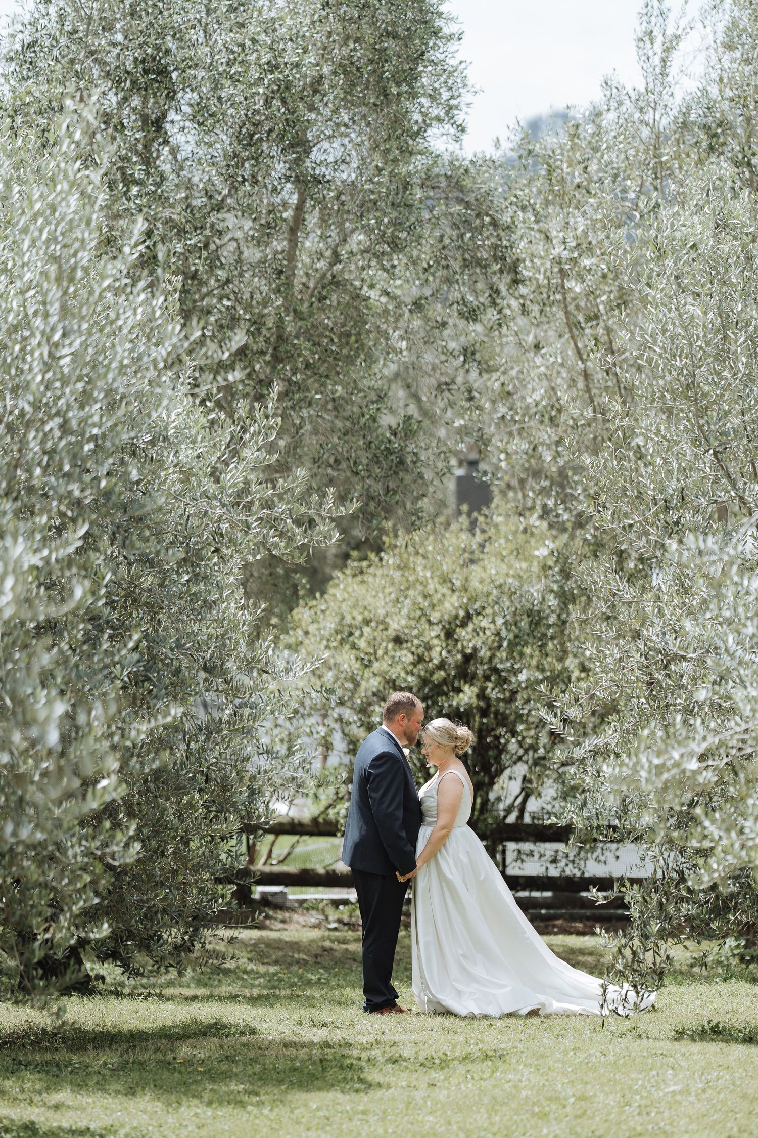 Newlywed couple sharing a romantic moment in a sun-dappled olive grove on their wedding day.