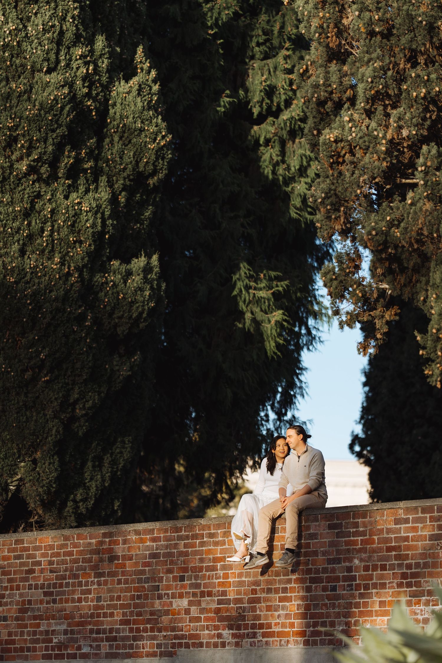 A scenic autumn portrait on a brick wall framed by tall evergreen trees.