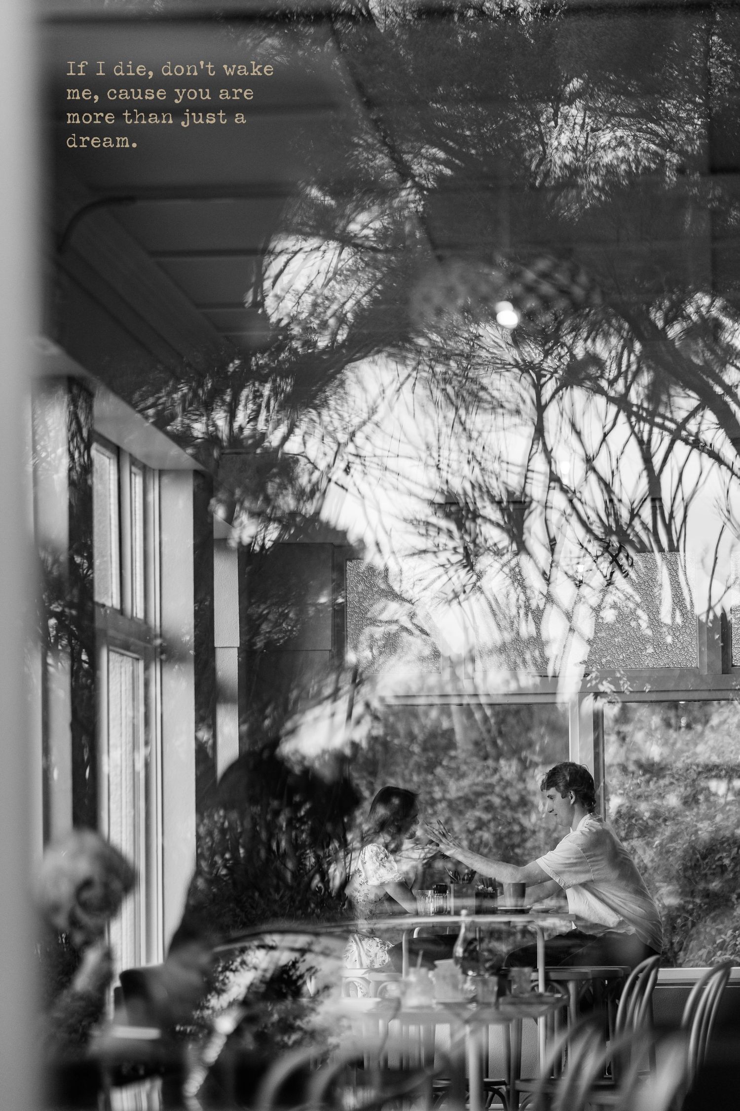 Black and white cafe scene with tree shadows casting patterns through window.