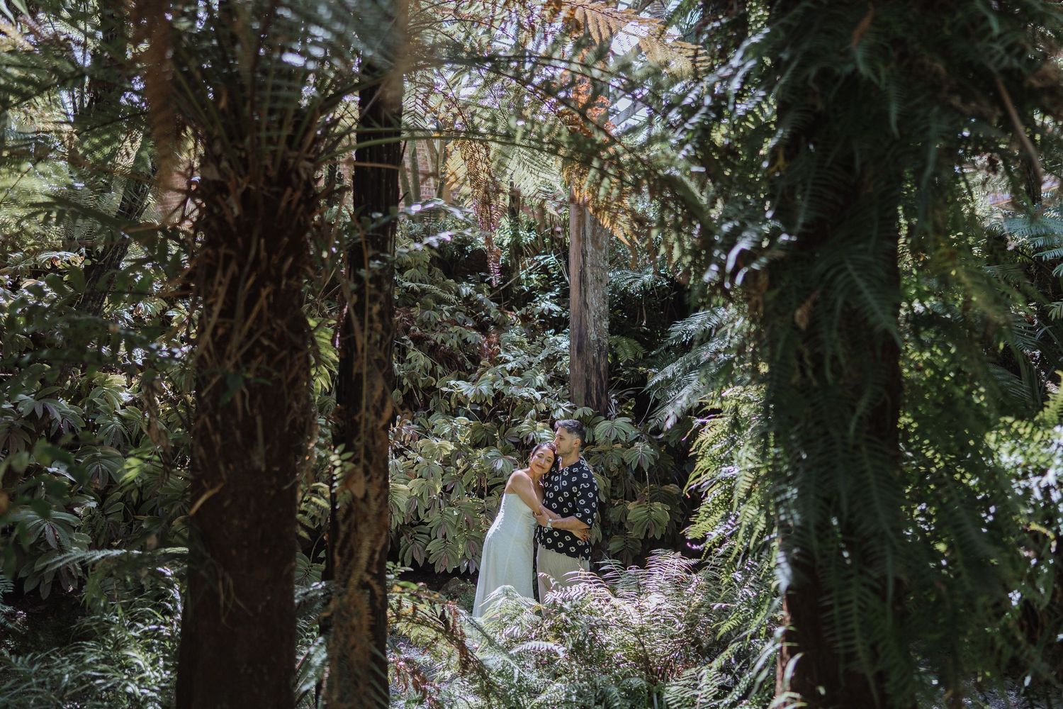 A serene forest scene with tall evergreen trees creating natural shade and depth.