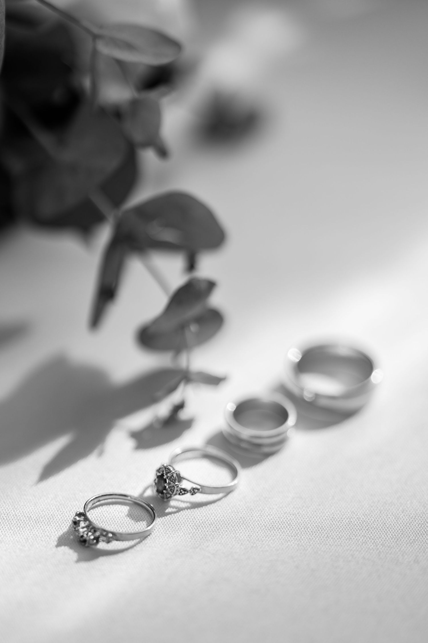 Wedding rings casting dramatic shadows in black and white photography.
