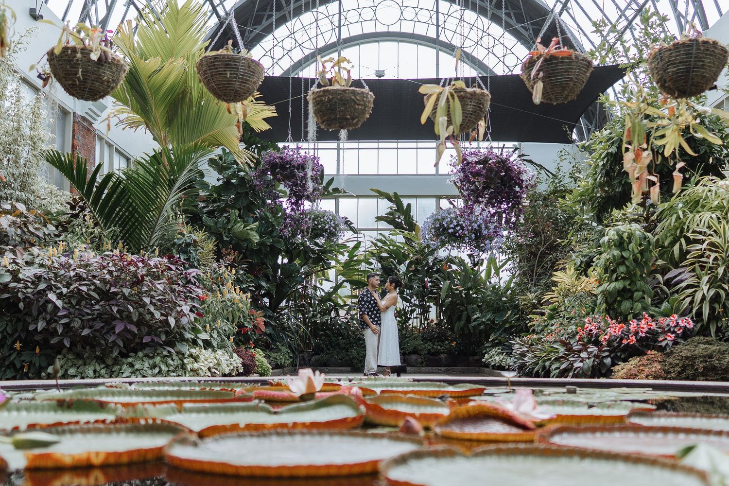 A panoramic view of a lush greenhouse interior with tropical plants and arched glass ceiling.