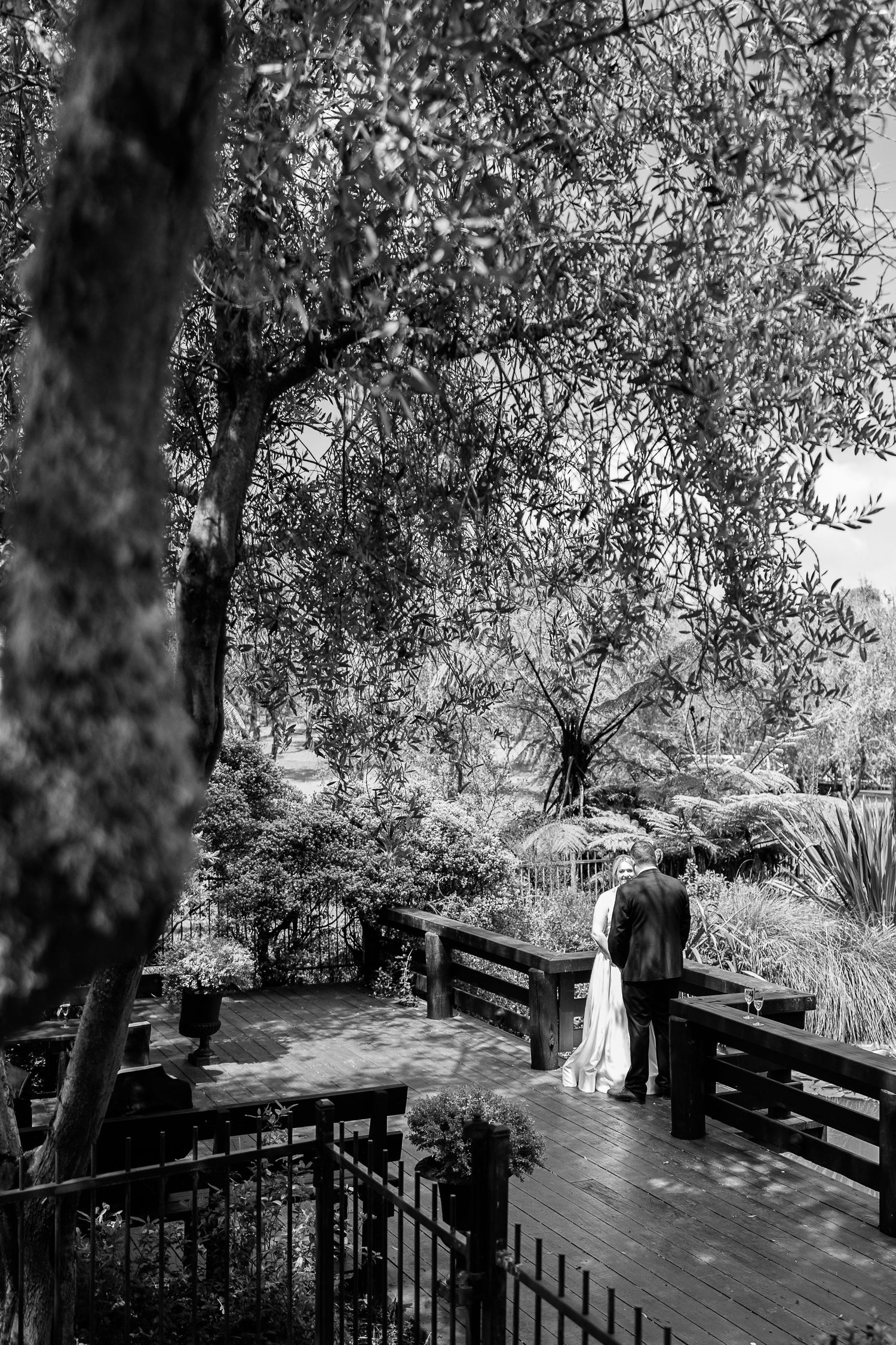 A serene garden pathway with wooden railings winds through lush trees and foliage in black and white.