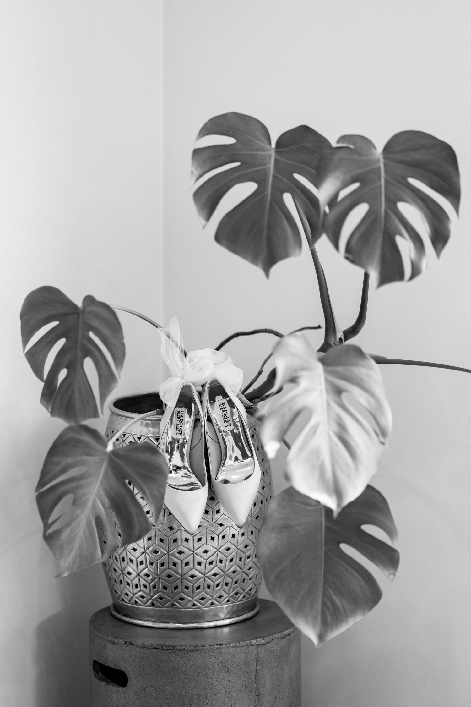 Elegant bridal shoes displayed with monstera leaves in black and white.