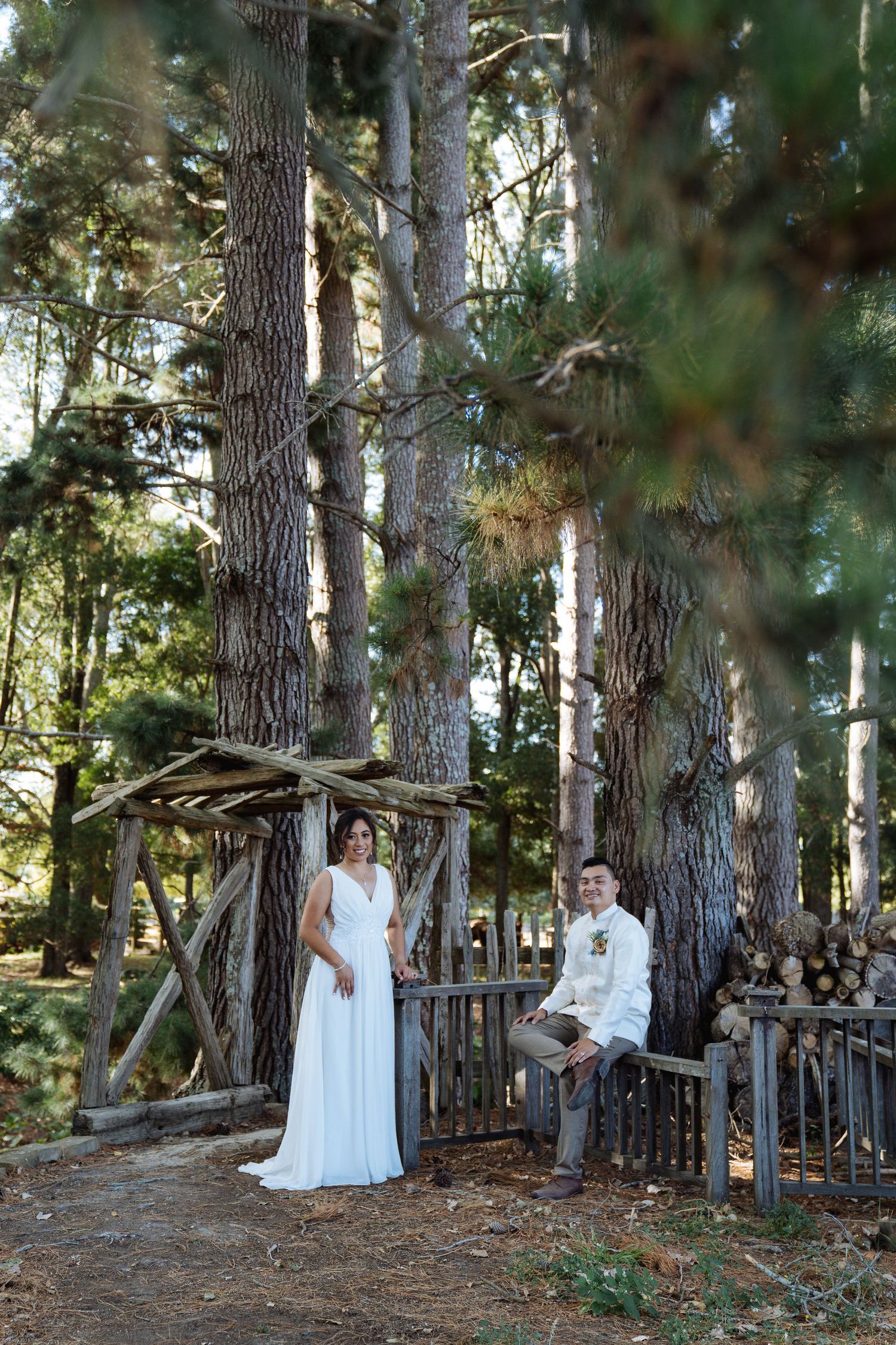 Wedding photography session in a serene pine forest setting.