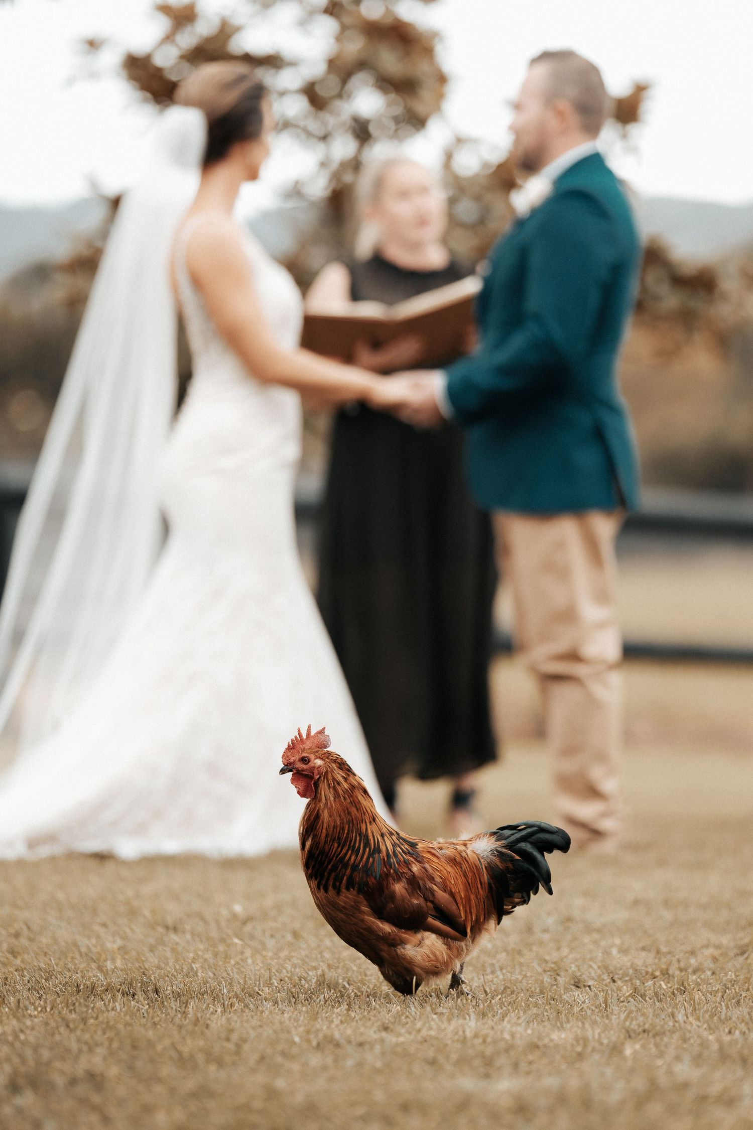 Auckland wedding photographer.