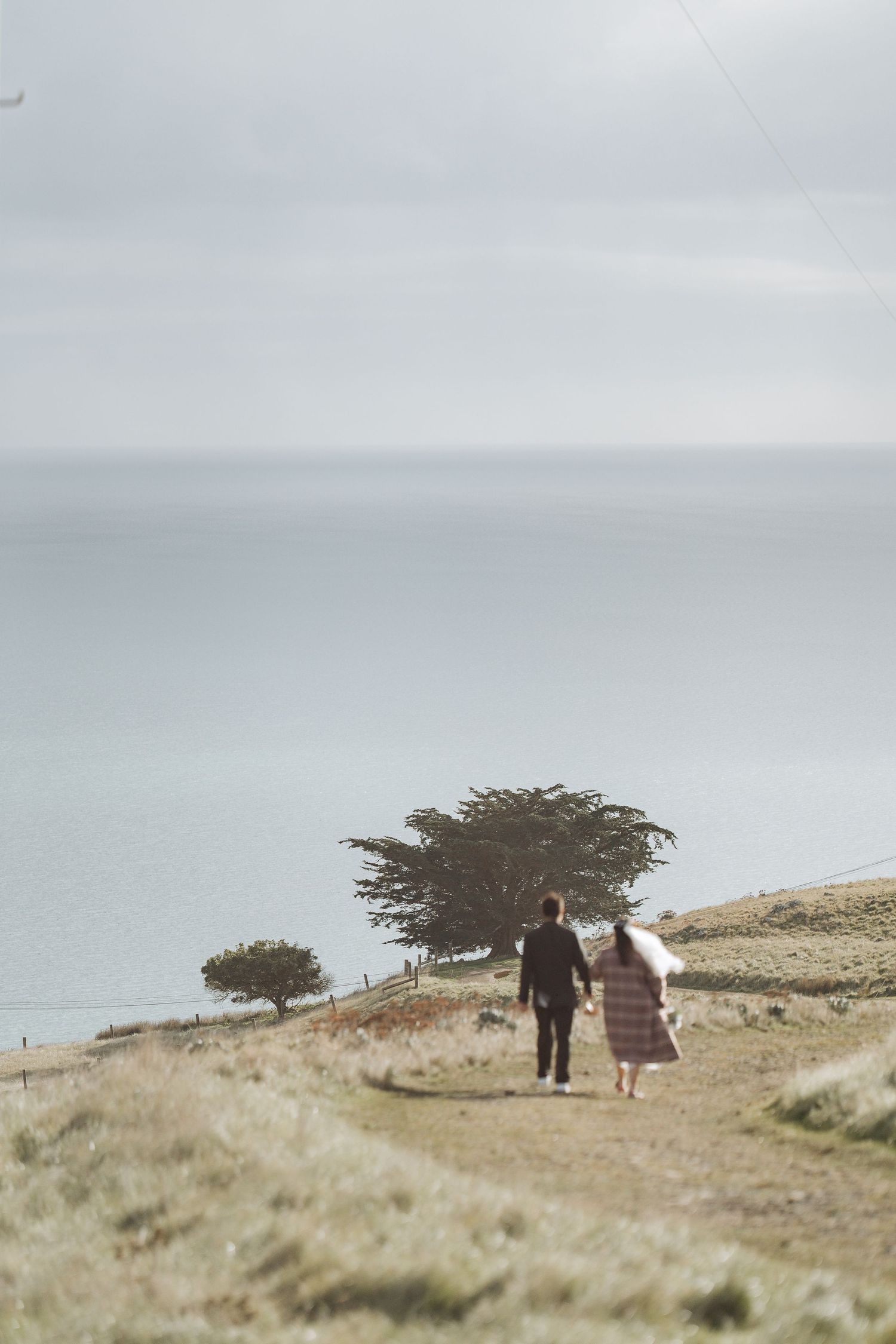 A couple walking along a windswept coastal path with sparse trees and ocean views.