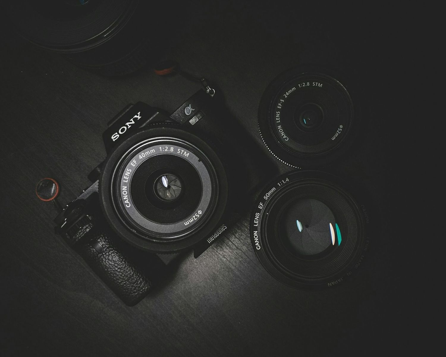 Black and white photo of hands holding Sony camera with large lens against textured ground helping with All Photography