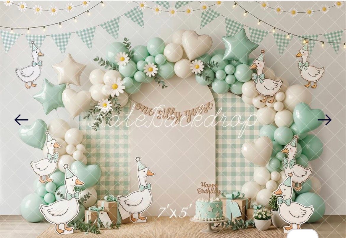 Cake Smash backdrop