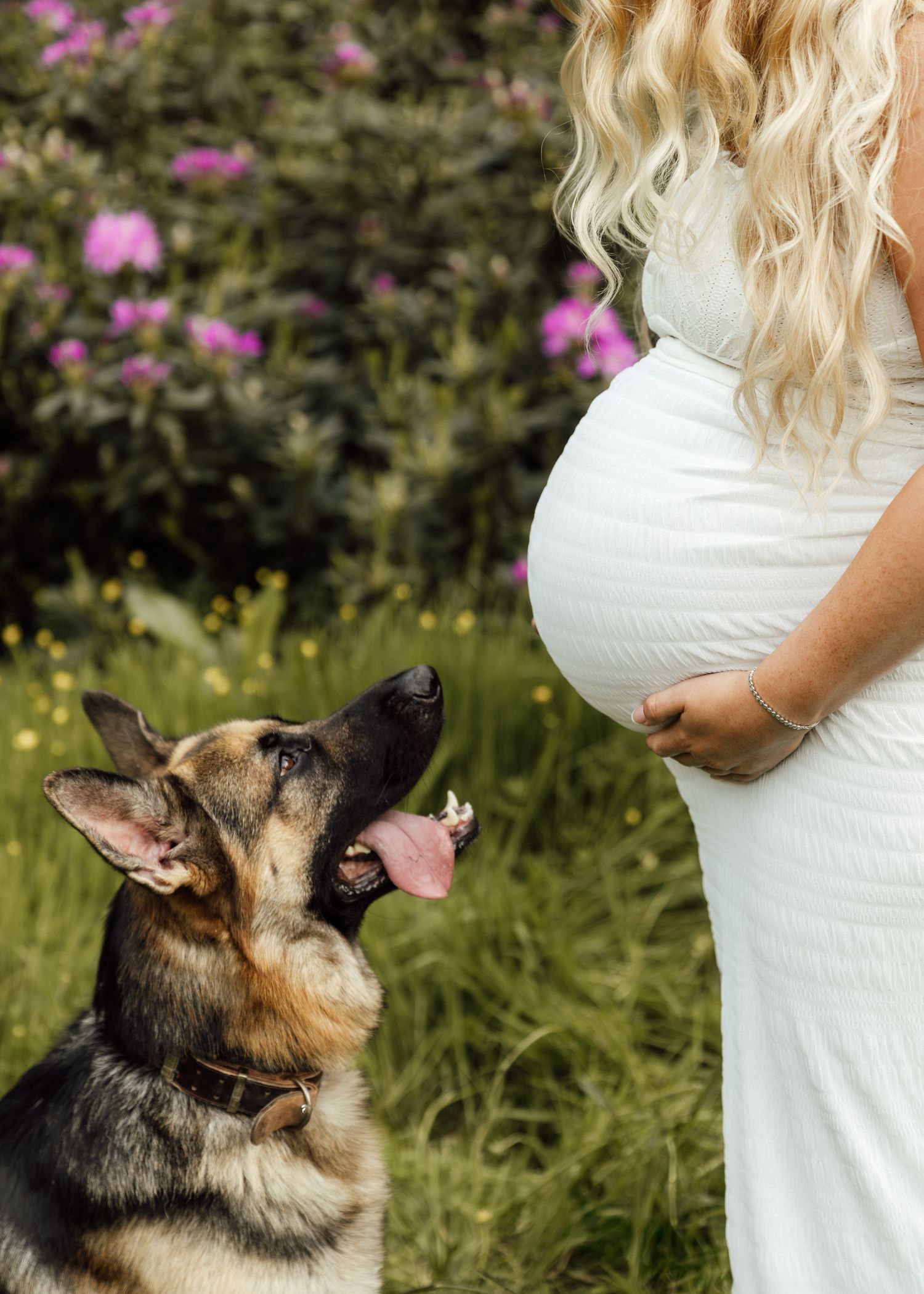 Maternity photoshoot