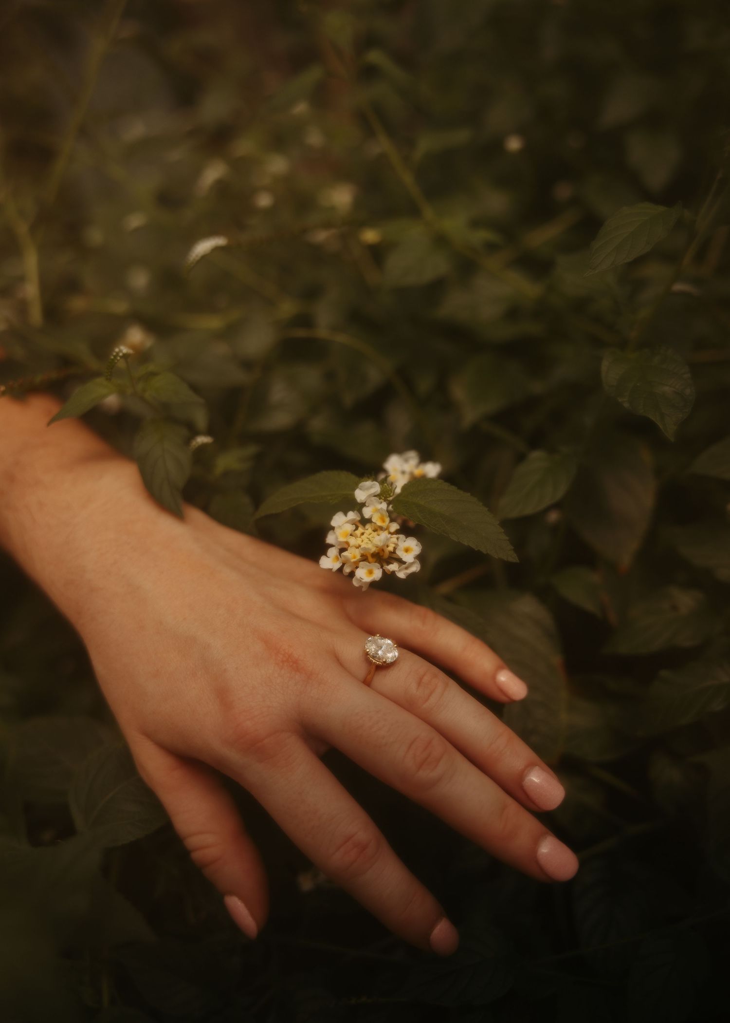 A close-up of a hand wearing a diamond engagement ring resting near small white flowers and green leaves.