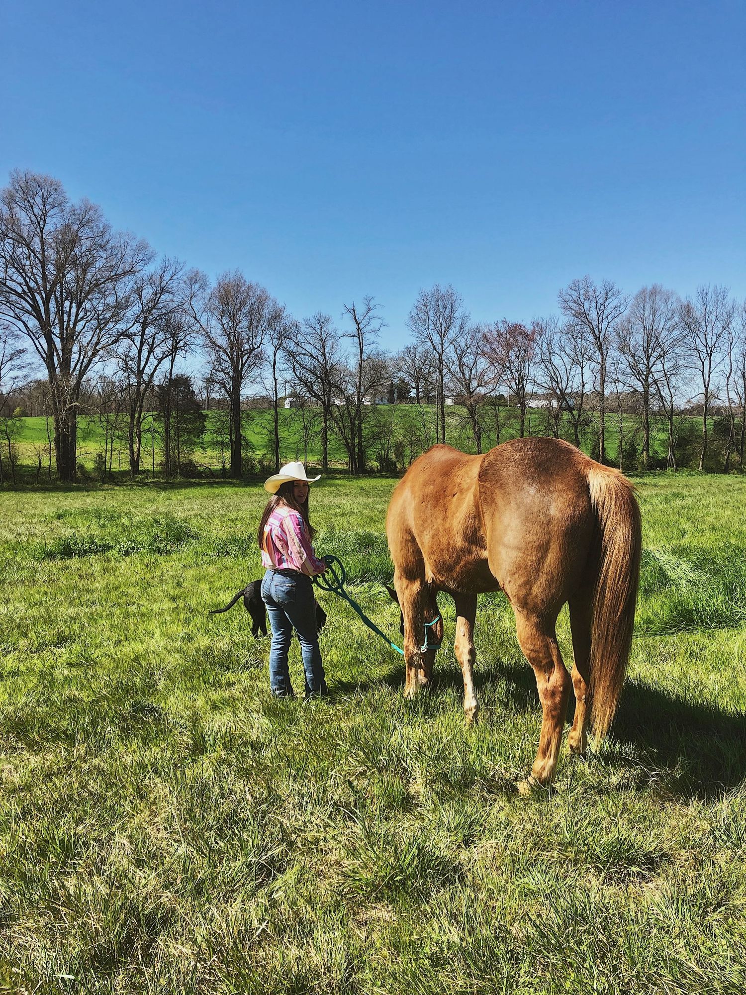 A cowgirl in a white hat leads a chestnut horse across a lush green pasture under a clear blue sky.