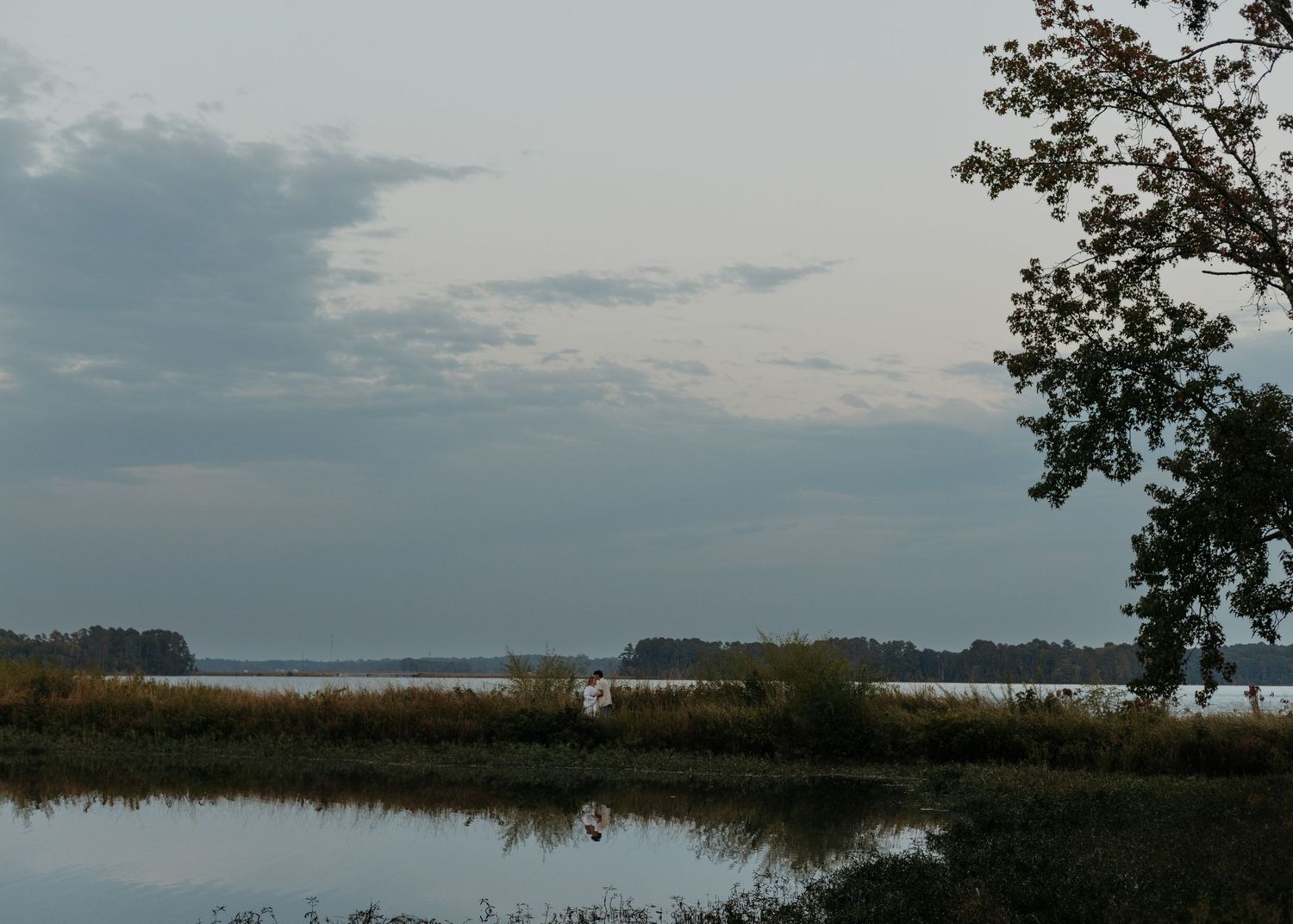 Serene lakeside landscape at dusk with calm water reflections, marsh grasses, and a tree silhouette under a cloudy sky.