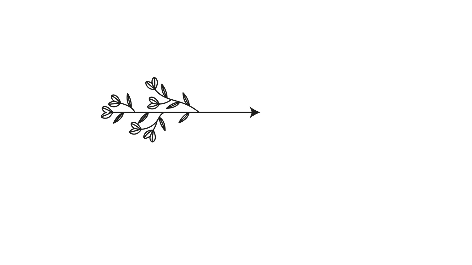 Delicate hand-drawn floral branch with small flowers and leaves pointing right with an arrow, minimalist botanical illustration.
