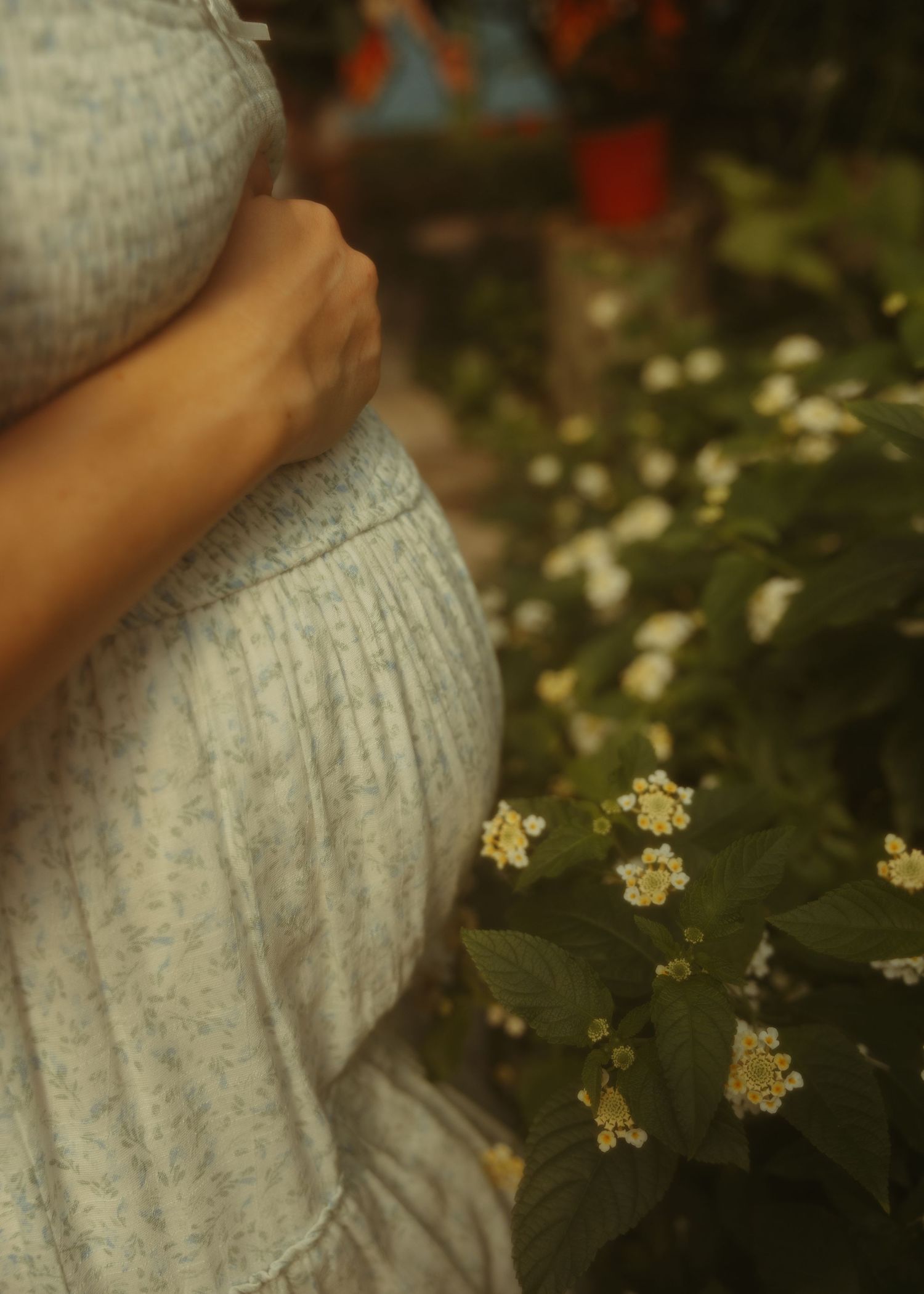 Close-up of pregnant woman in light blue dress cradling baby bump near white wildflowers in garden.
