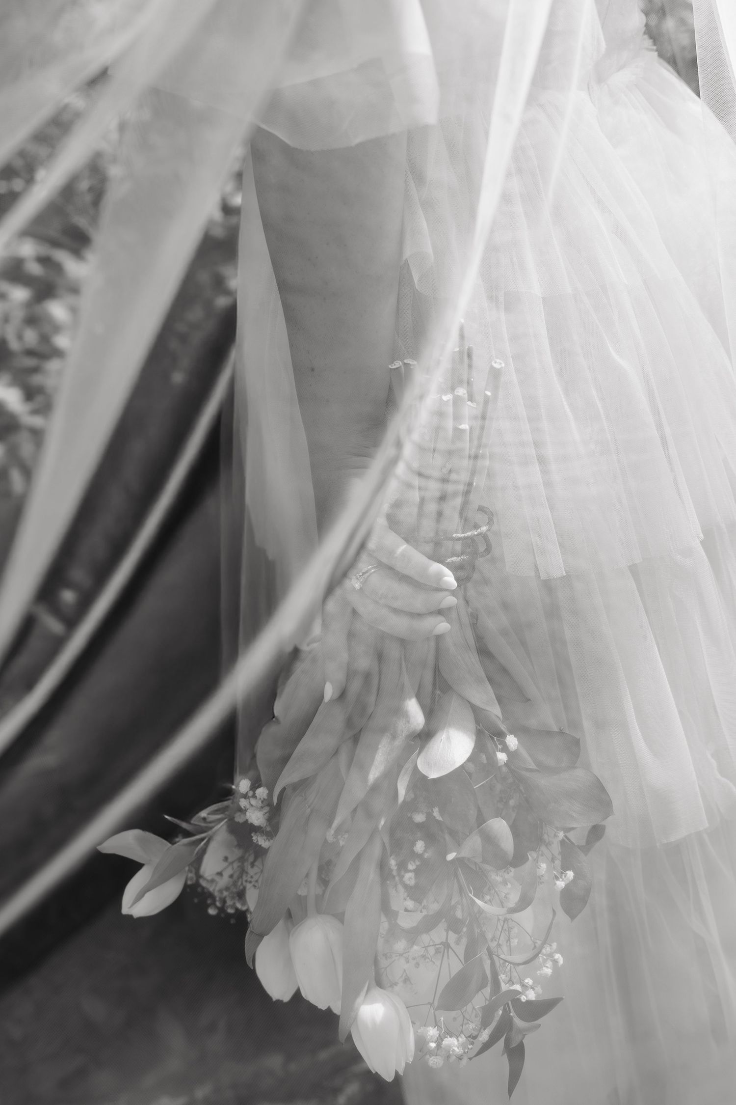 Black and white bridal photo of bride holding tulip bouquet, with flowing veil draped elegantly over her wedding gown.