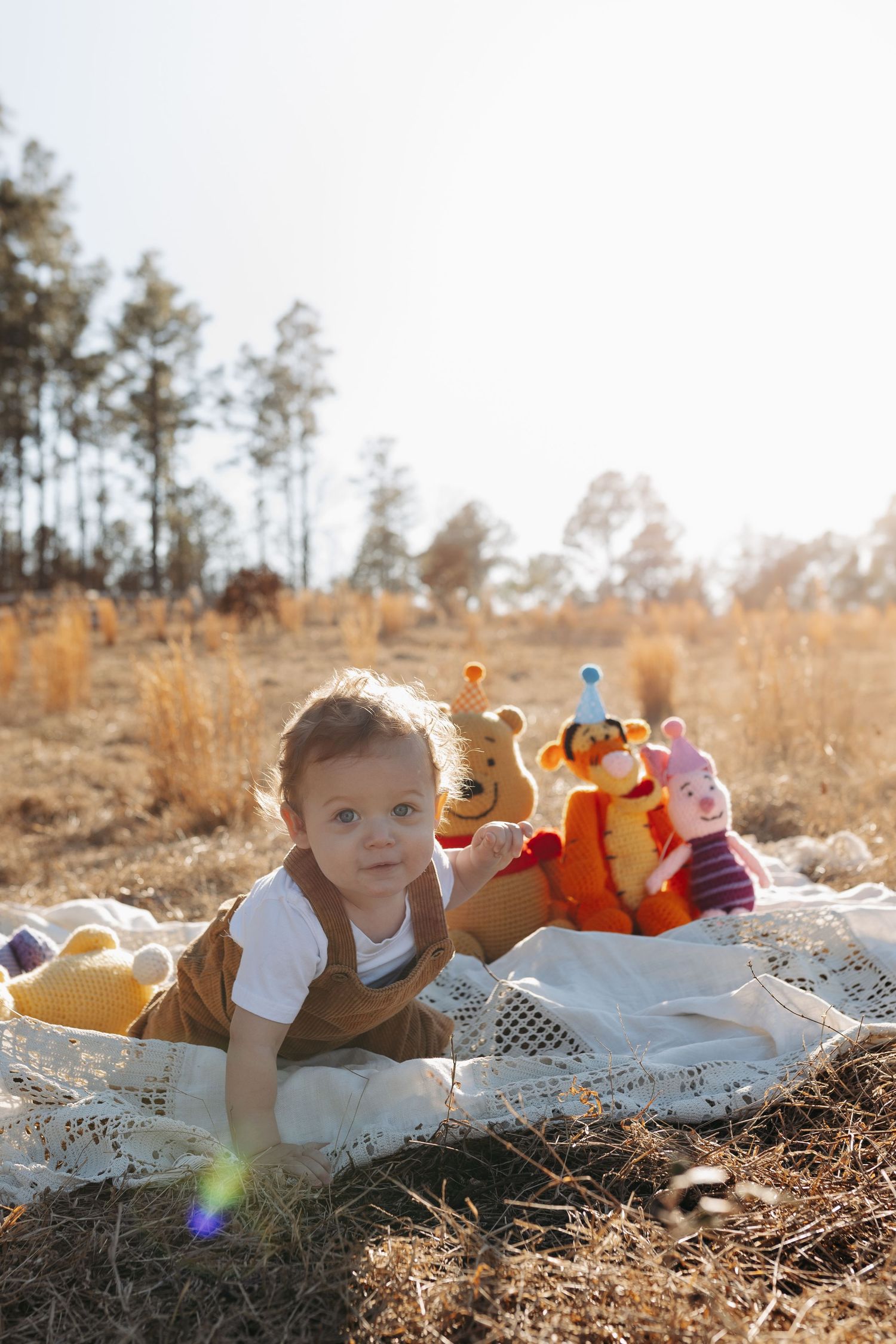 A small child lies on a white blanket outdoors with stuffed animals in an autumn field during golden hour.