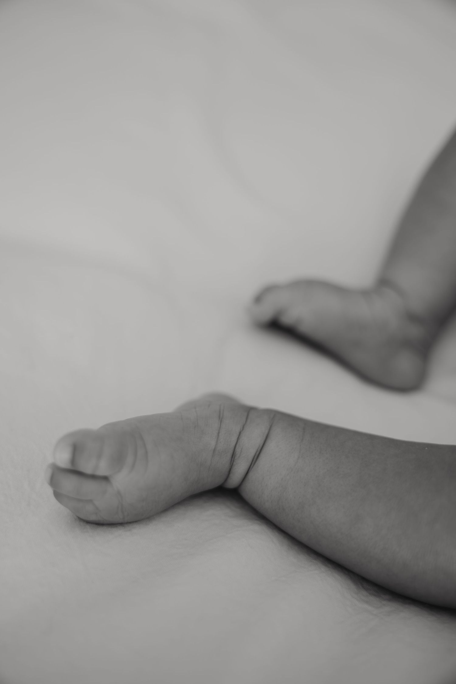 Black and white close-up photo of a newborn baby's tiny feet and hands resting on a soft white surface.