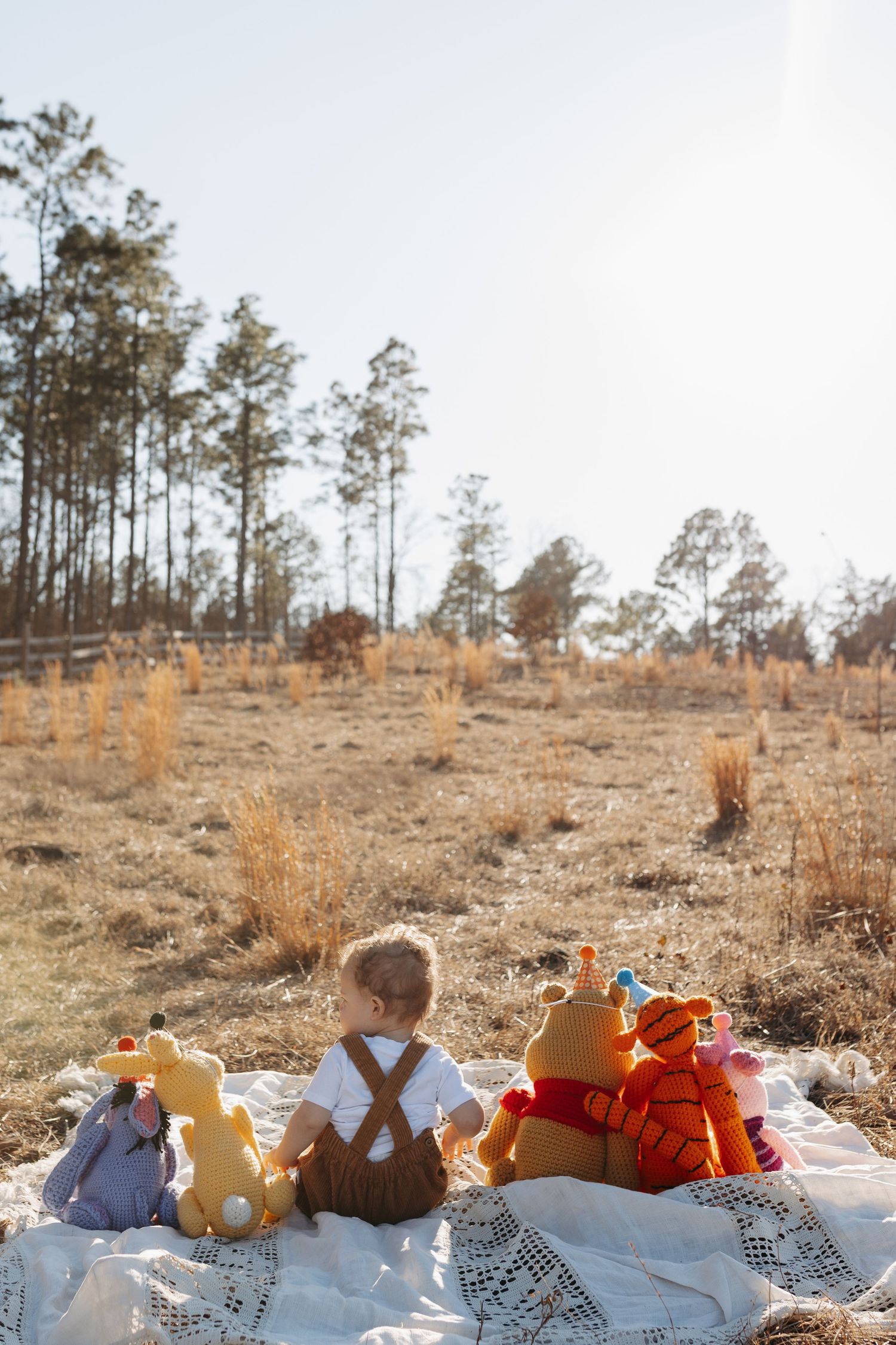 Stuffed plush toys arranged on a white lace blanket against a rustic outdoor backdrop with pine trees.