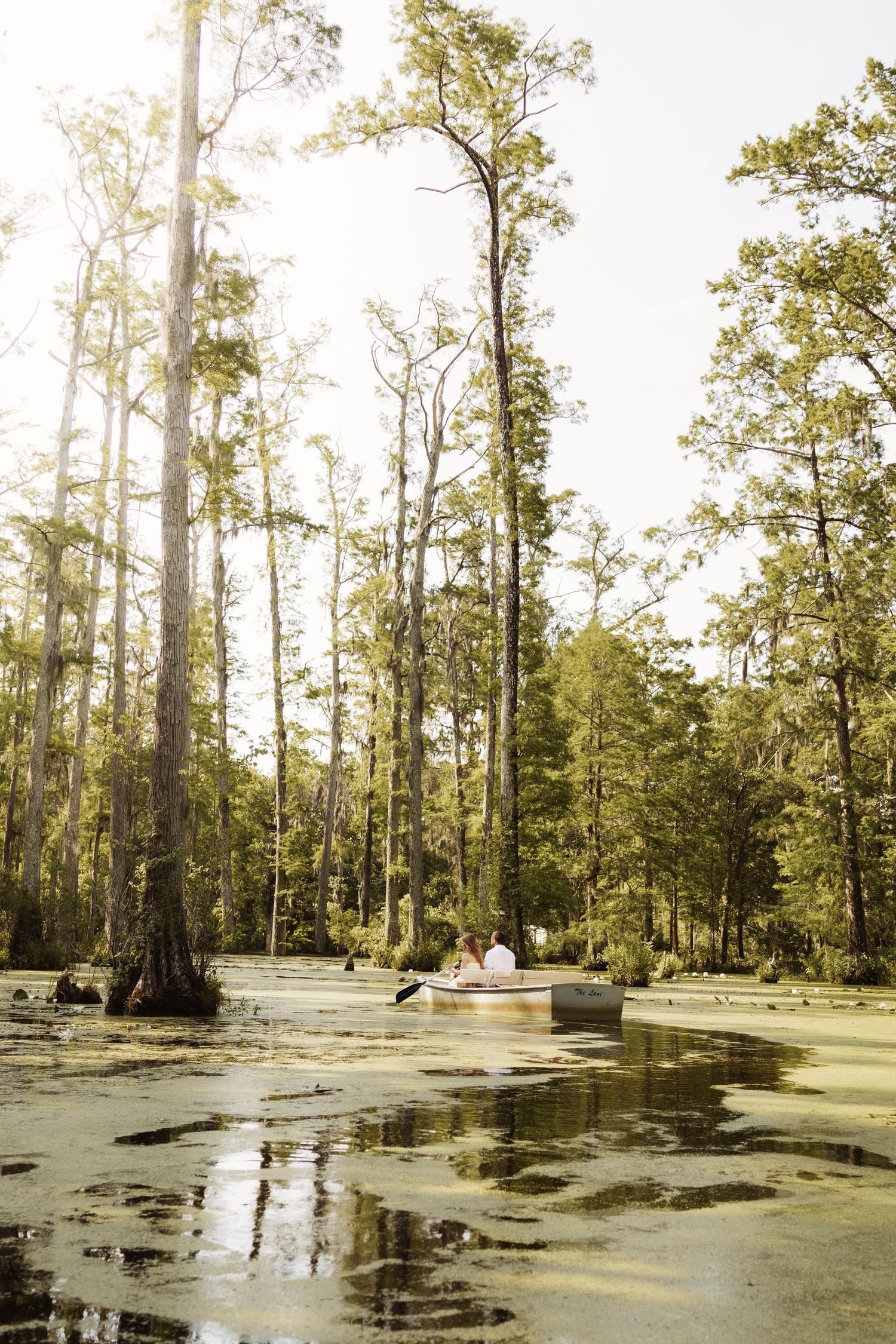 Couple rowing a boat through a serene cypress swamp with tall trees and reflective water.