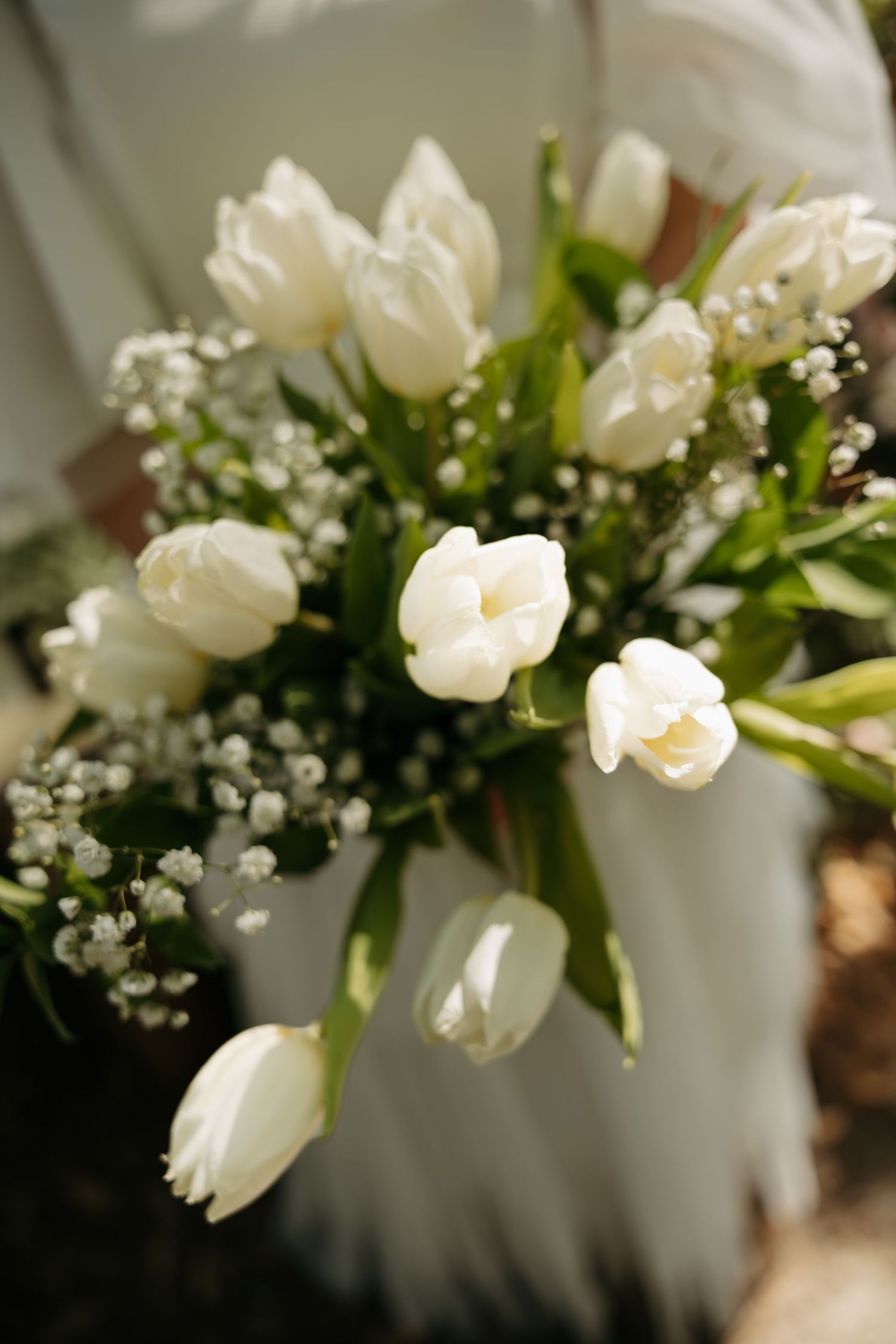 Person holding a lush bouquet of white tulips and baby's breath flowers in soft natural light.