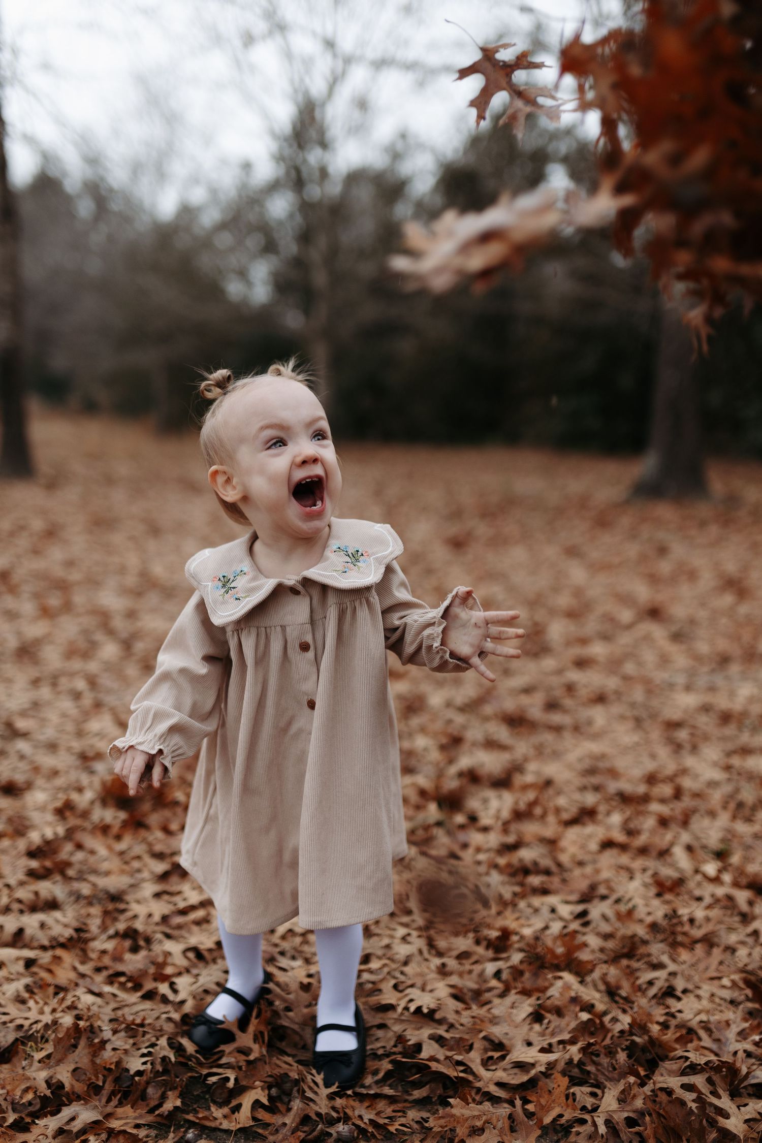 Small child in beige coat and white socks plays joyfully among fallen autumn leaves on the ground.