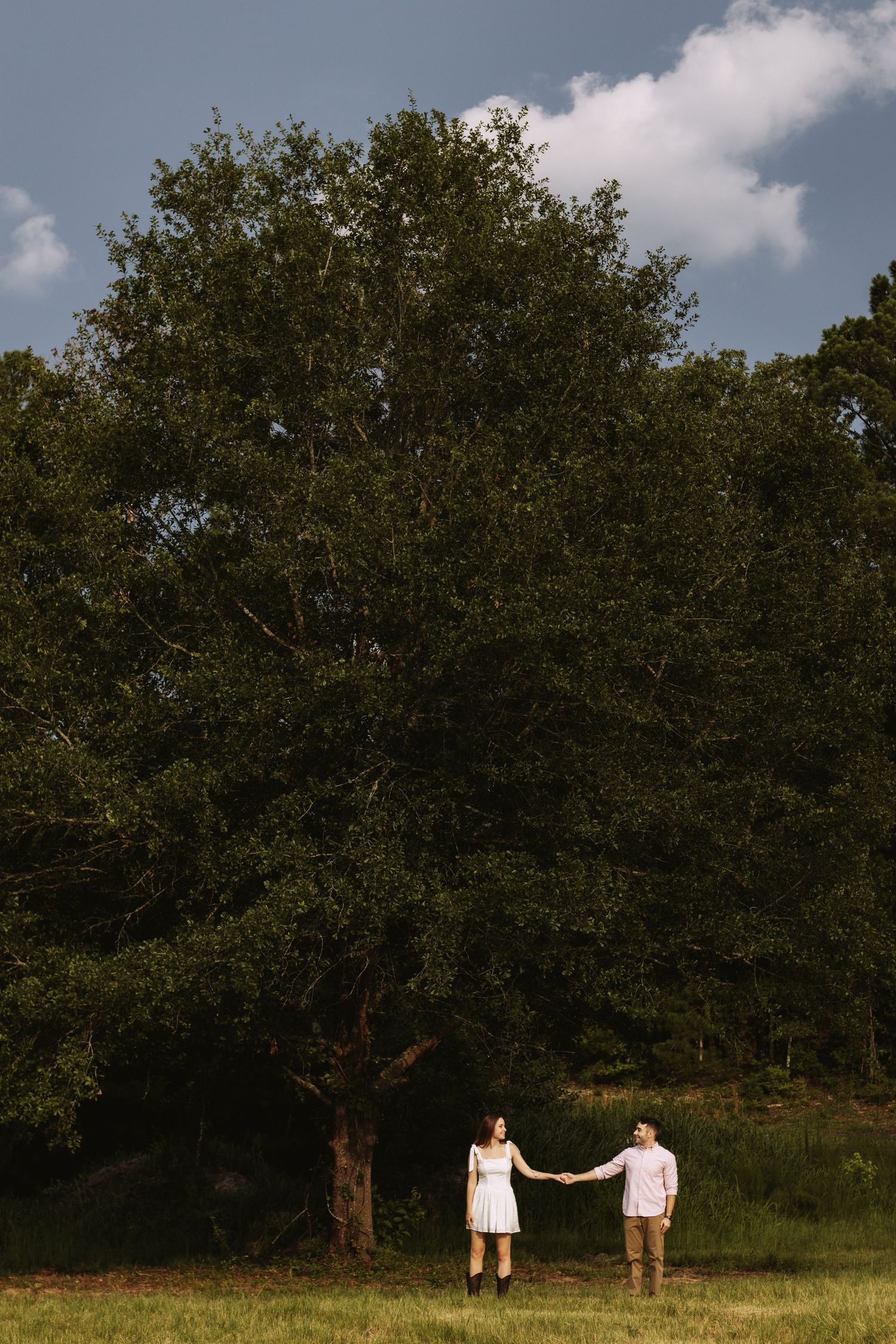 A couple stands holding hands in a meadow with tall green trees and fluffy white clouds in the background.