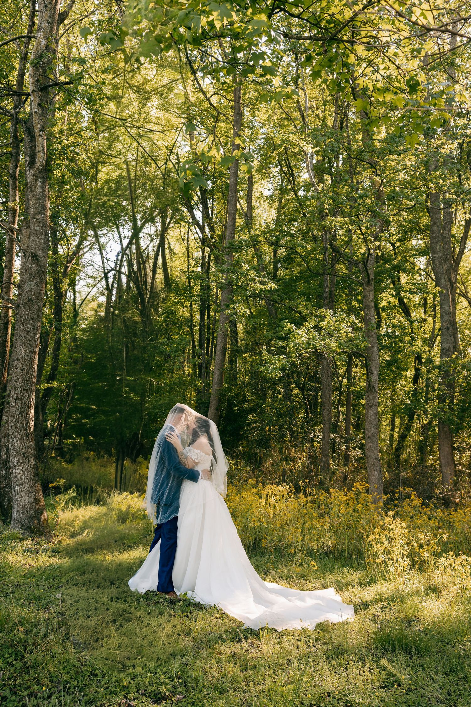 Bride and groom embracing under flowing veil in lush green forest during golden hour.