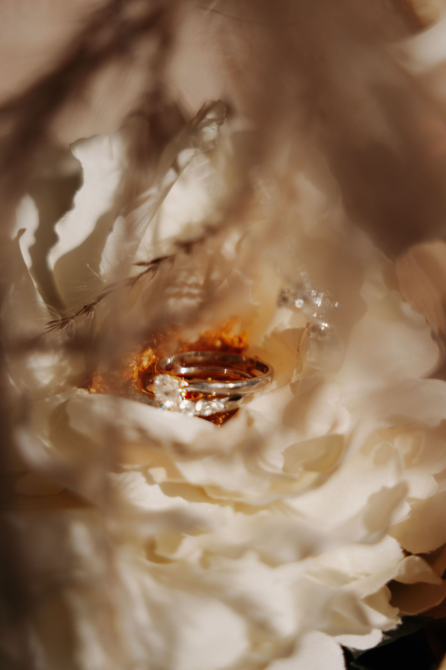 Close-up of wedding rings nestled inside a white peony flower with soft golden bokeh lighting.