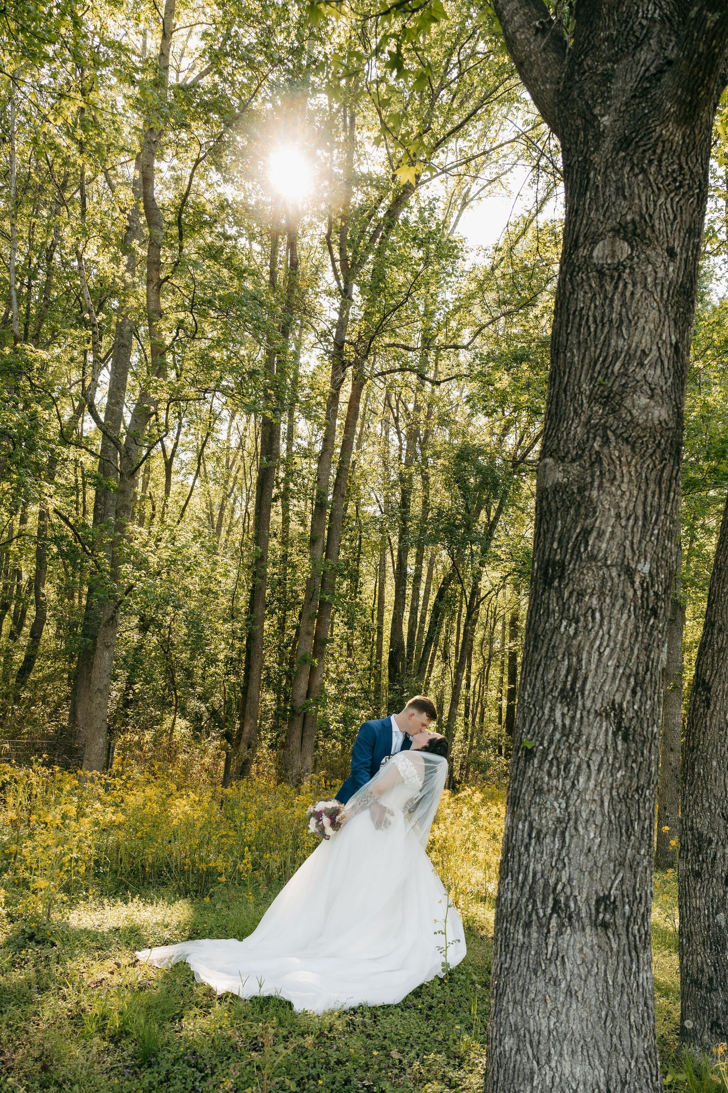 Bride and groom sharing romantic kiss in sunlit forest with tall trees on wedding day.