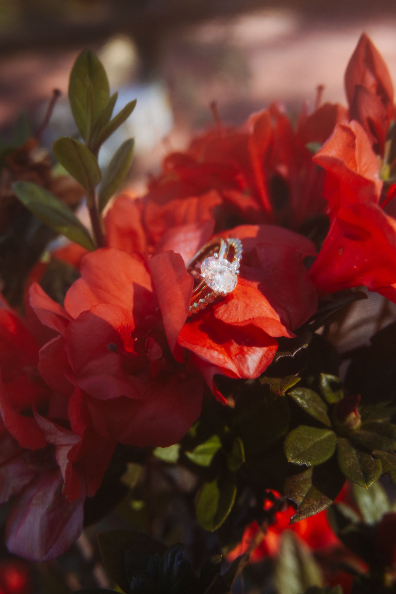 Diamond engagement ring resting on vibrant red azalea flowers in a garden setting.