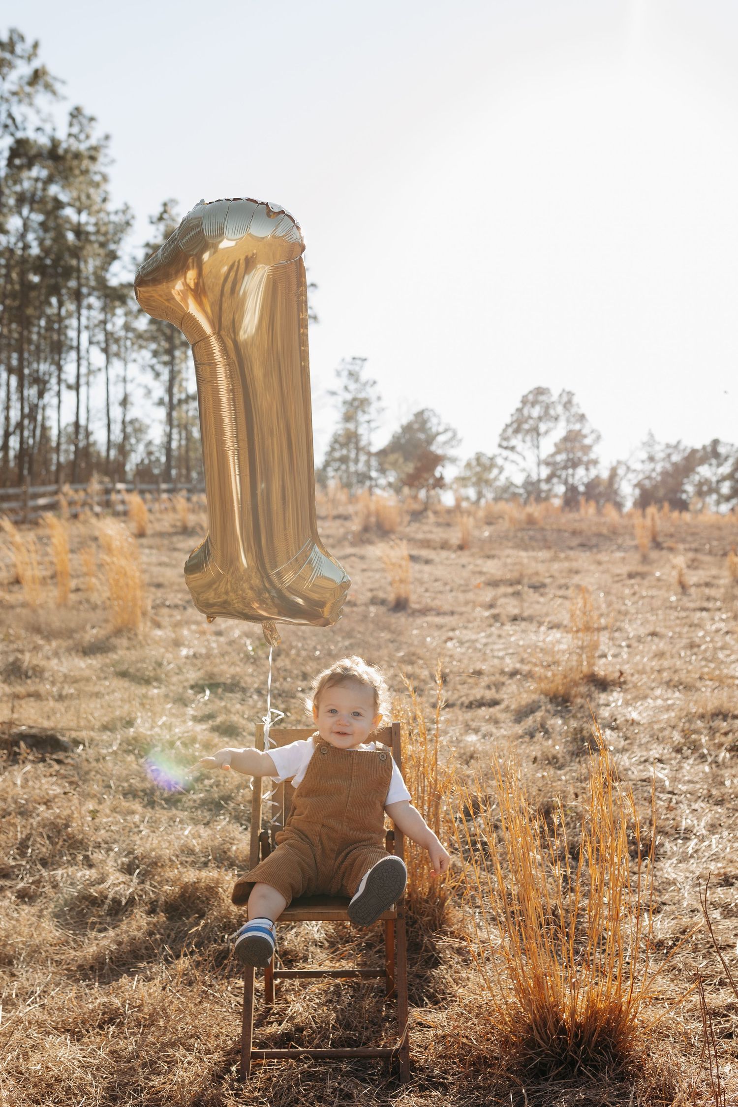 Rustic outdoor scene with wooden chair and golden dried grasses in a sunlit field with pine trees in background.