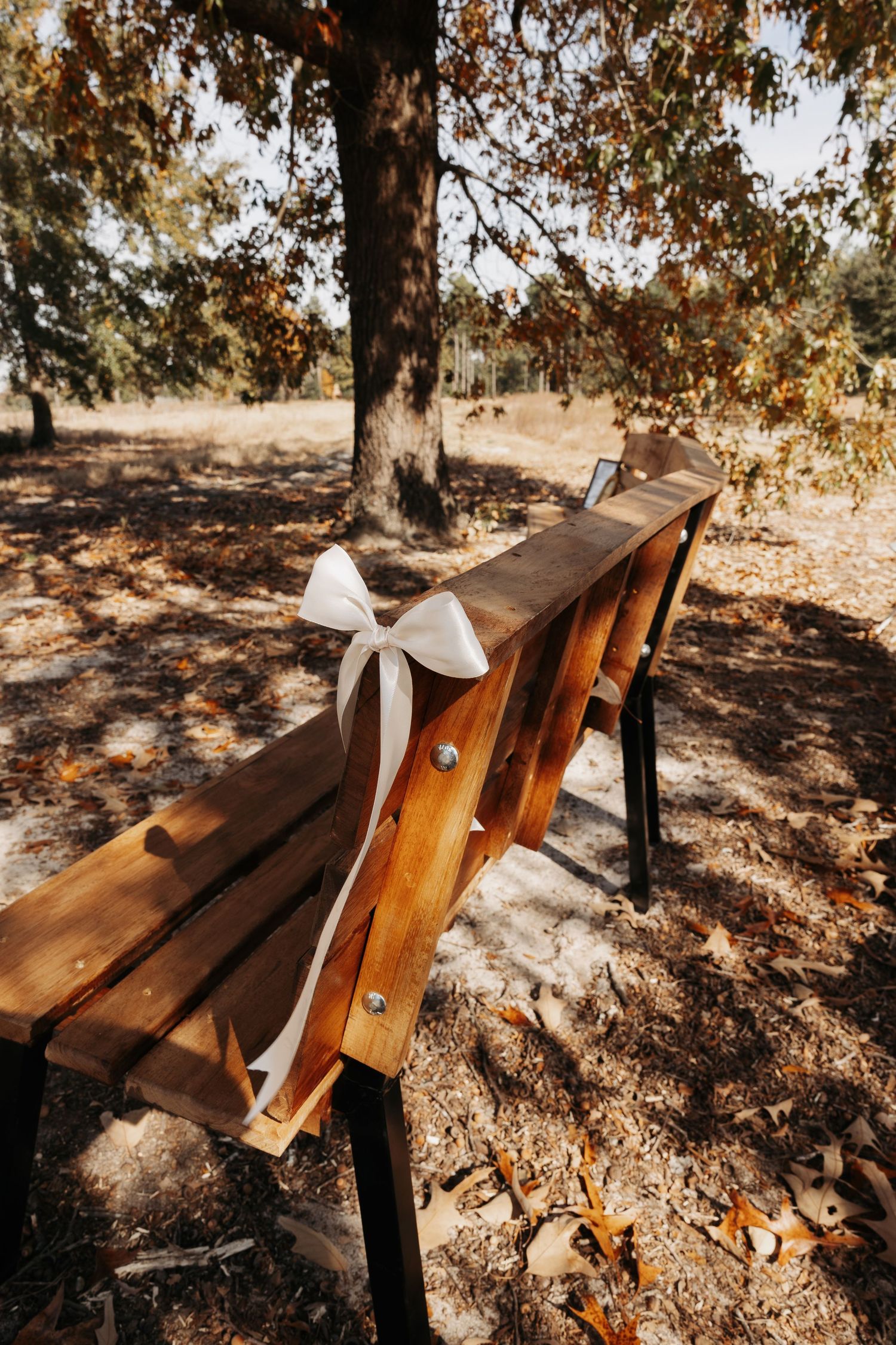Wooden ceremony bench decorated with elegant white ribbon bow in an autumn outdoor wedding setting.