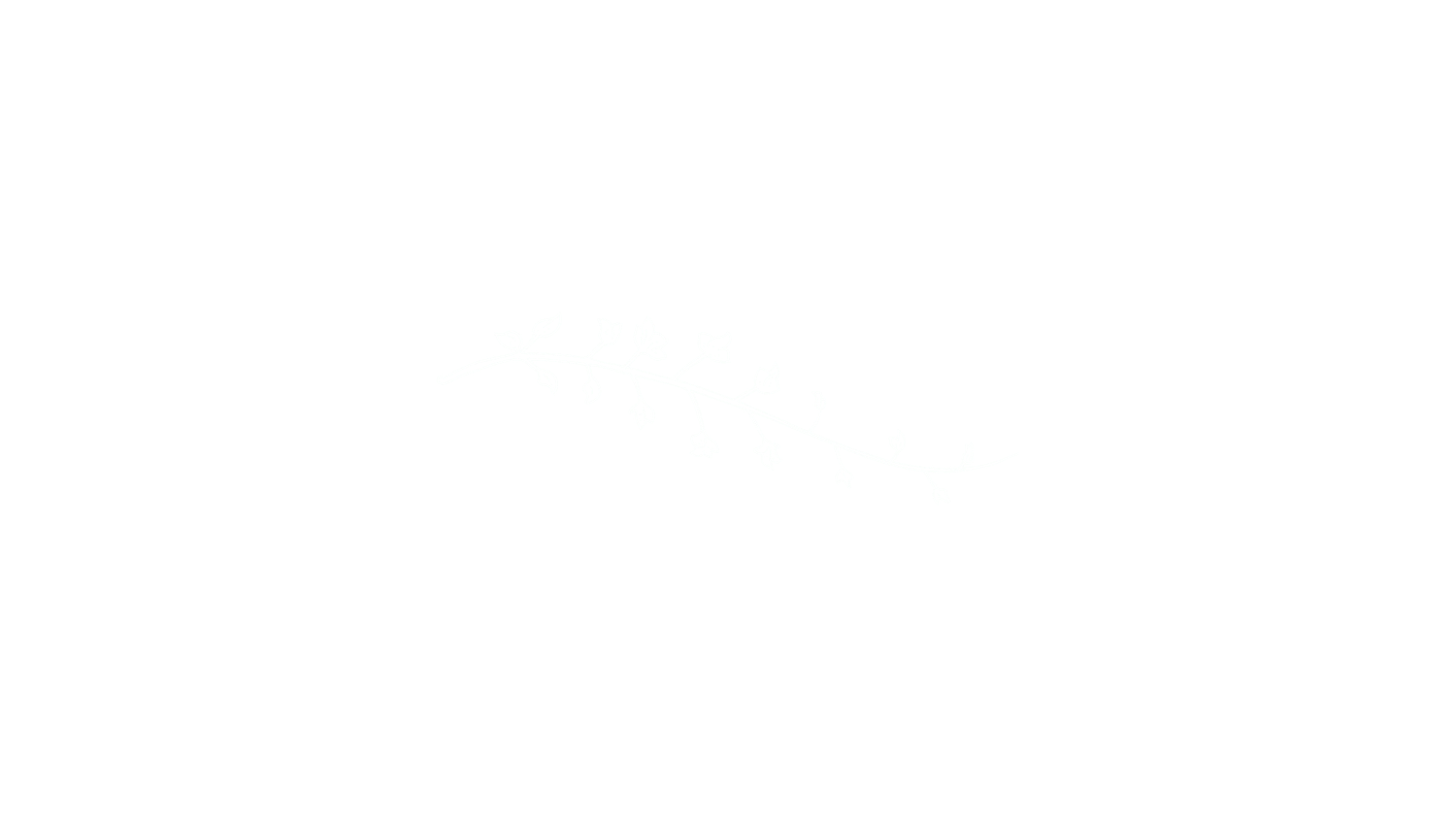 A plain white blank image with no visible content or design elements.