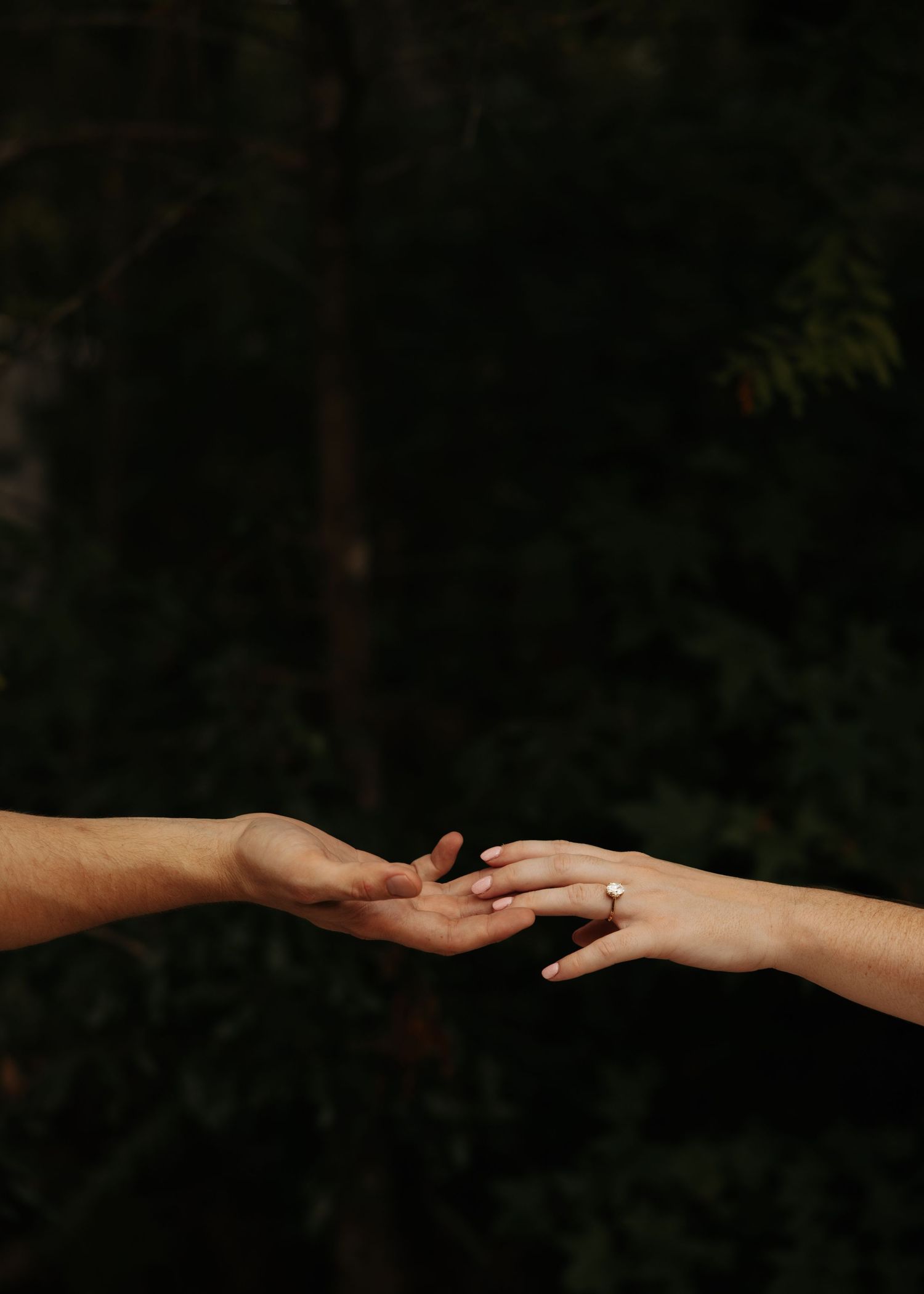 Two hands reaching toward each other outdoors, one adorned with a diamond engagement ring, set against a dark green forest backdrop.