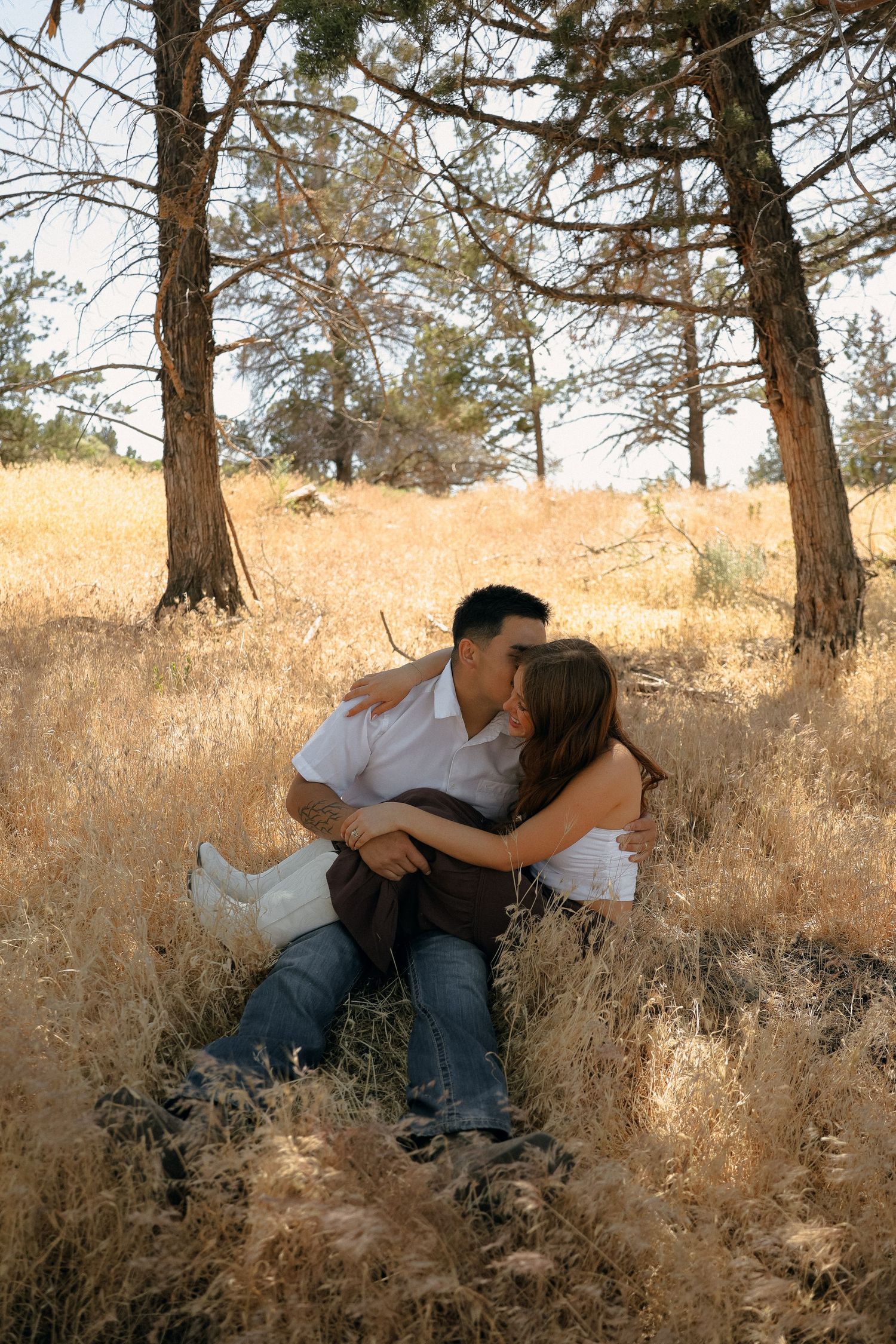 A couple embraces on a grassy hillside among tall pine trees during a bright autumn day.
