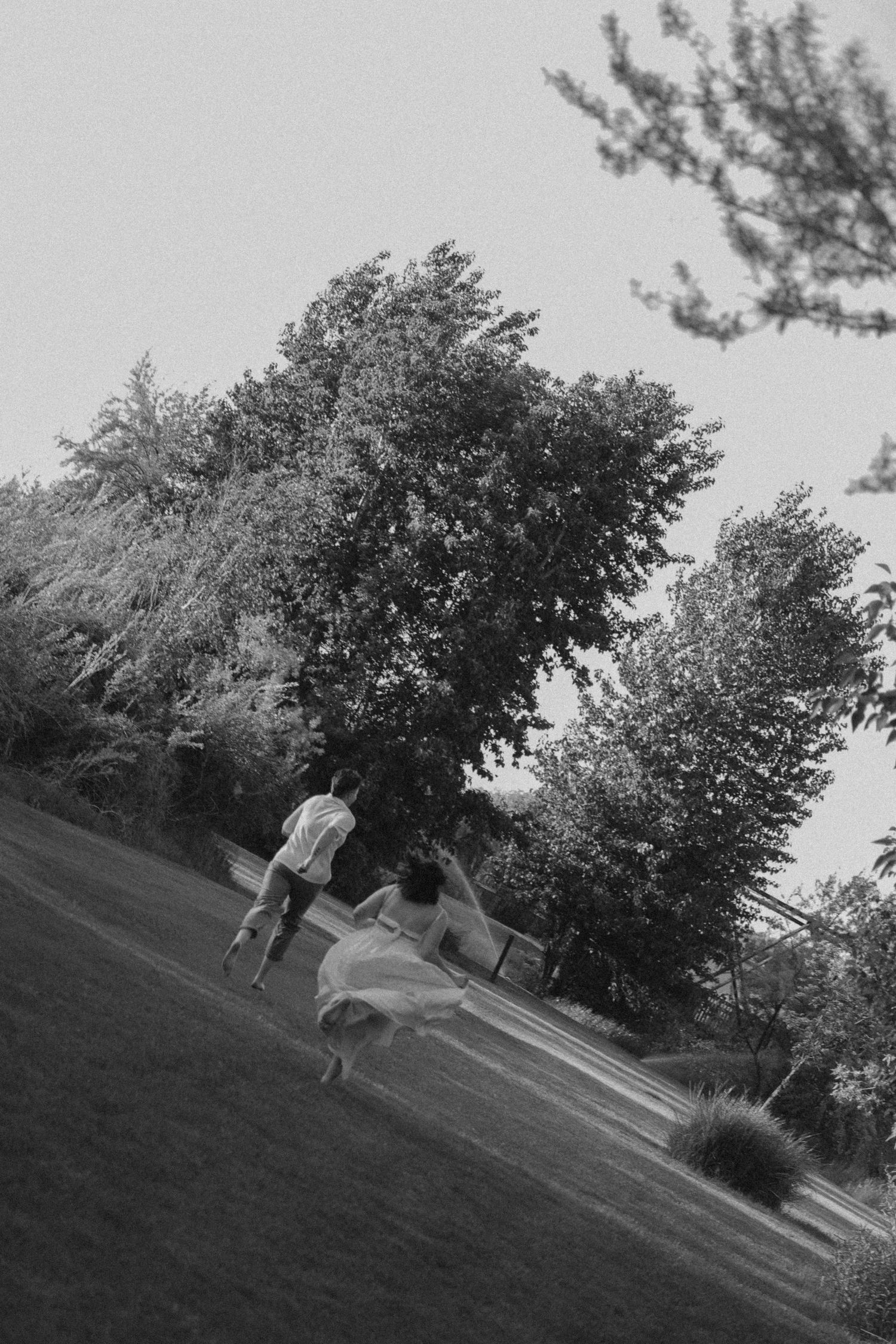 Silhouettes of figures walking on a grassy hill against a backdrop of trees.