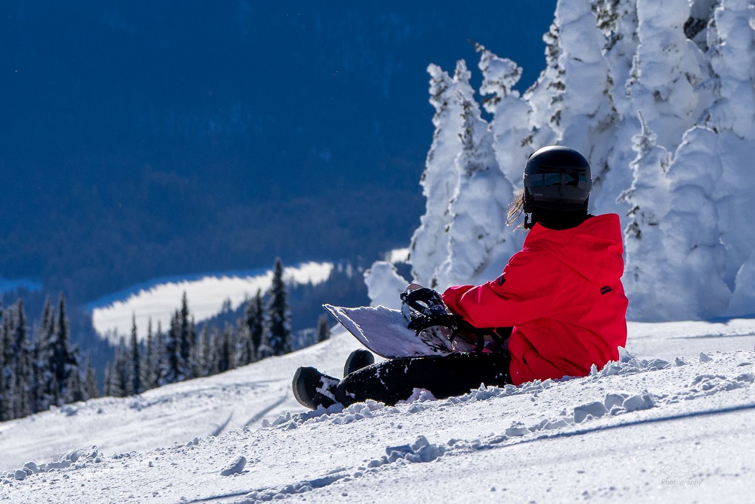 Person in red jacket sitting on snowy slope surrounded by snow-covered trees against blue sky.
